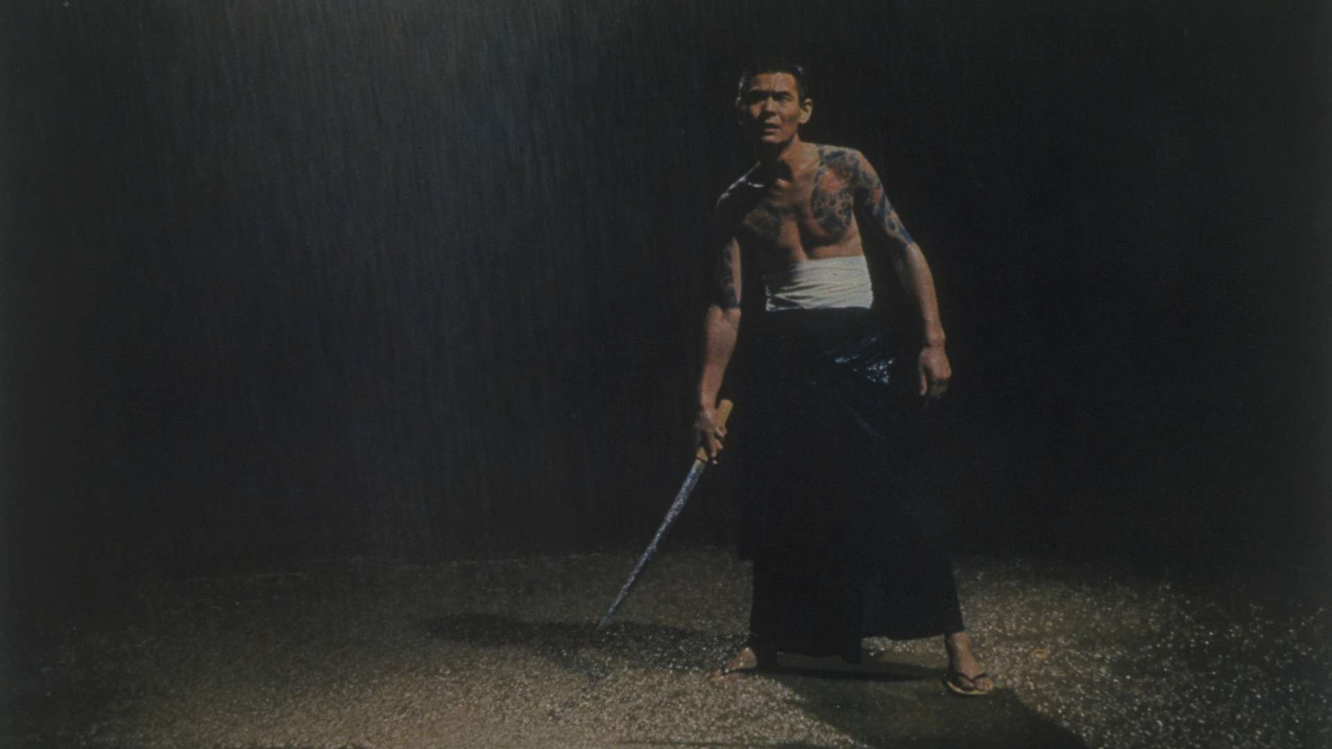 Backdrop for Code of Wolves