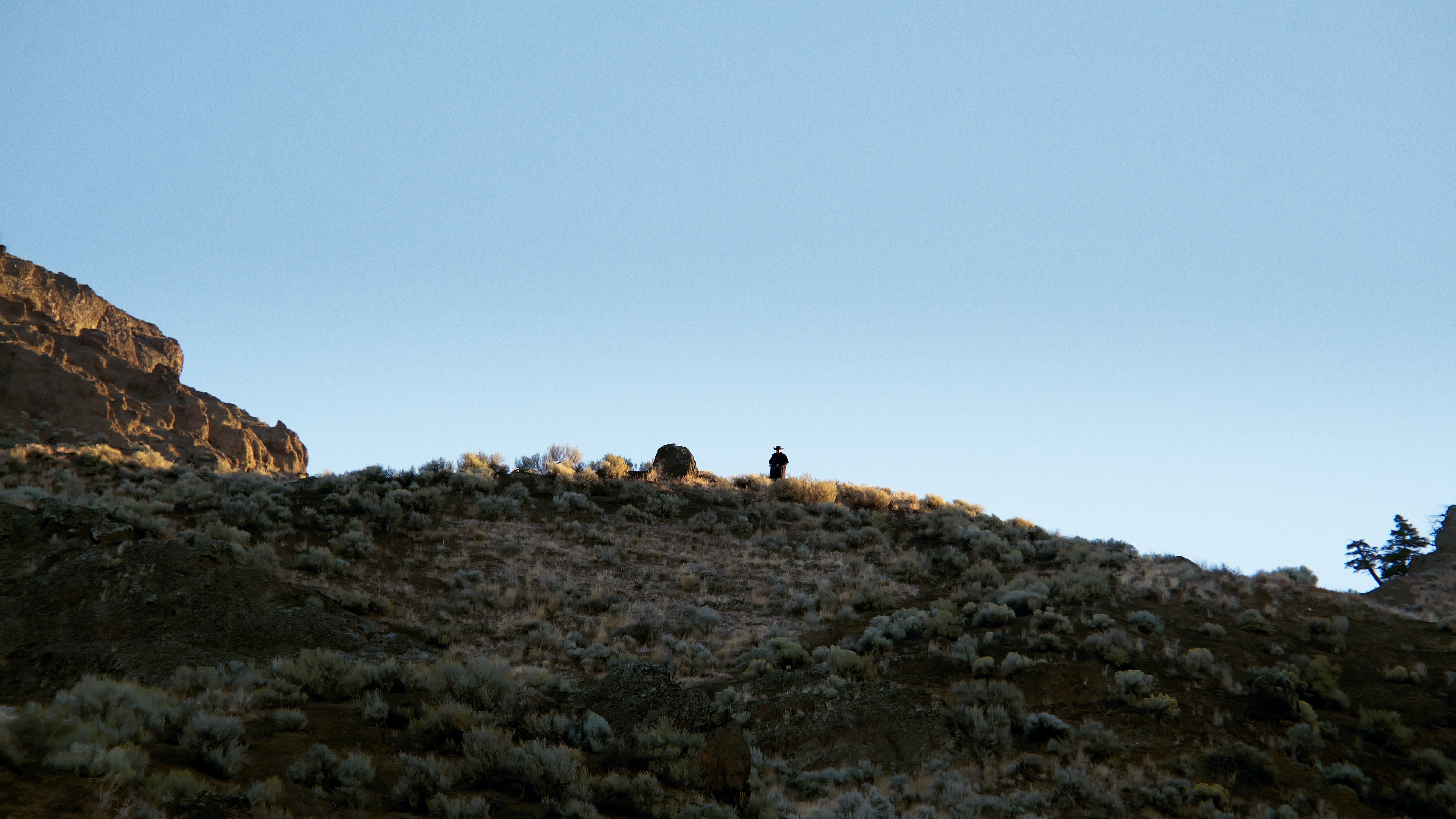 Backdrop for A Fools Paradise