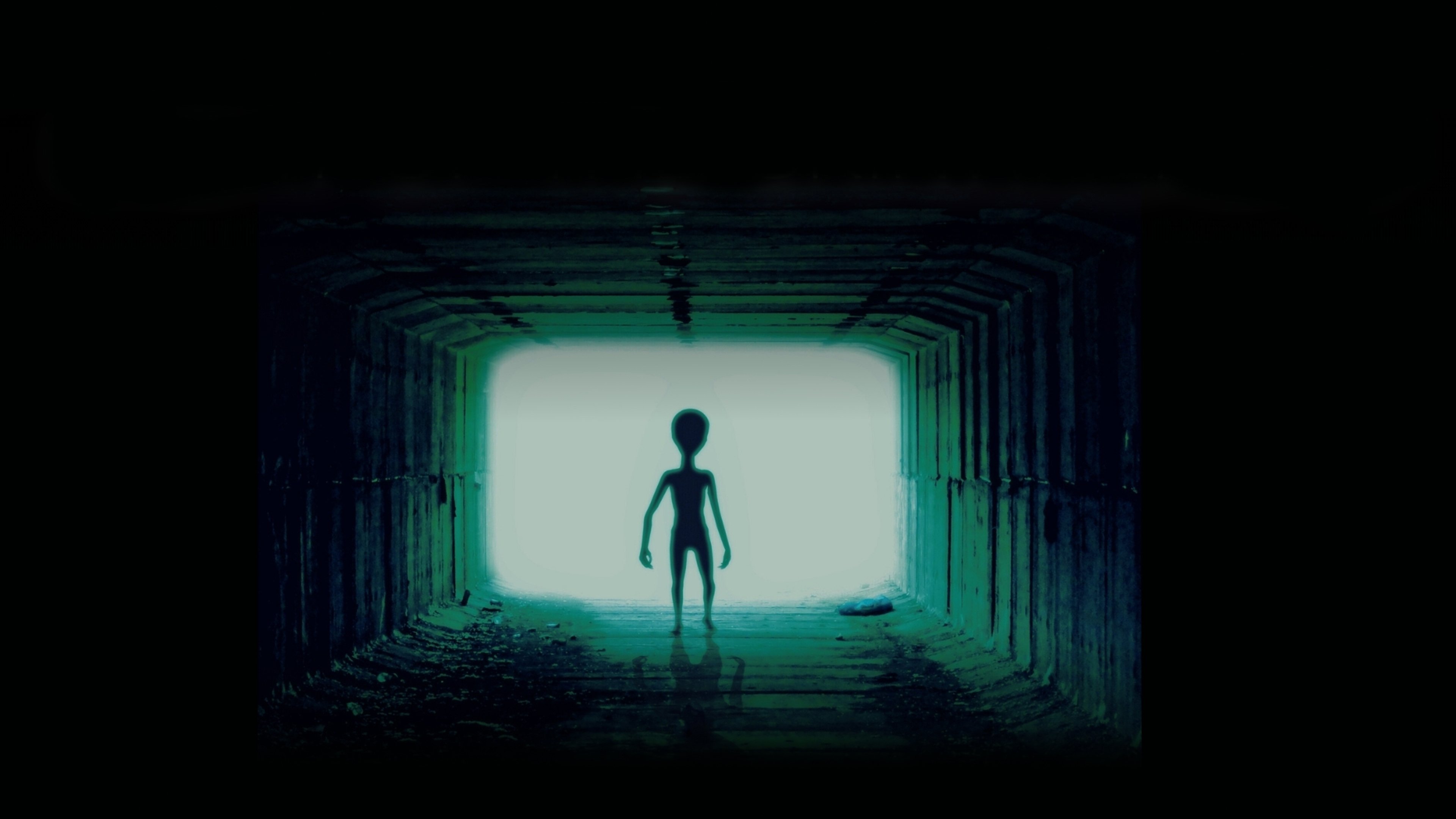 Backdrop for Night of the Skinwalkers