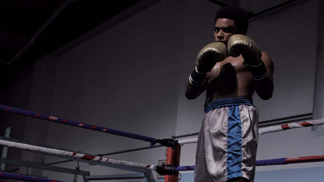 Backdrop for The Ballerina