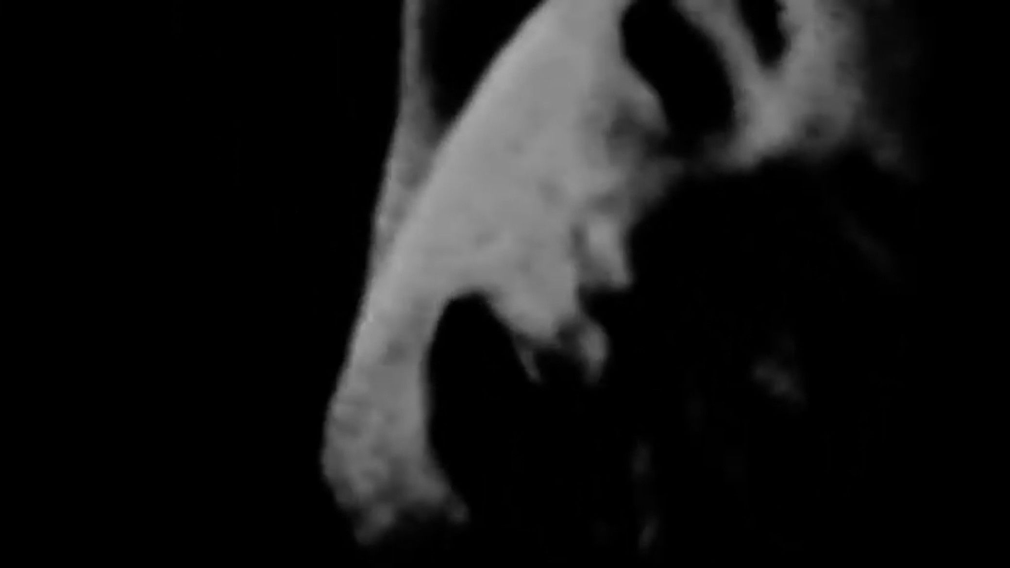 Backdrop for The Act of Seeing with One's Own Eyes