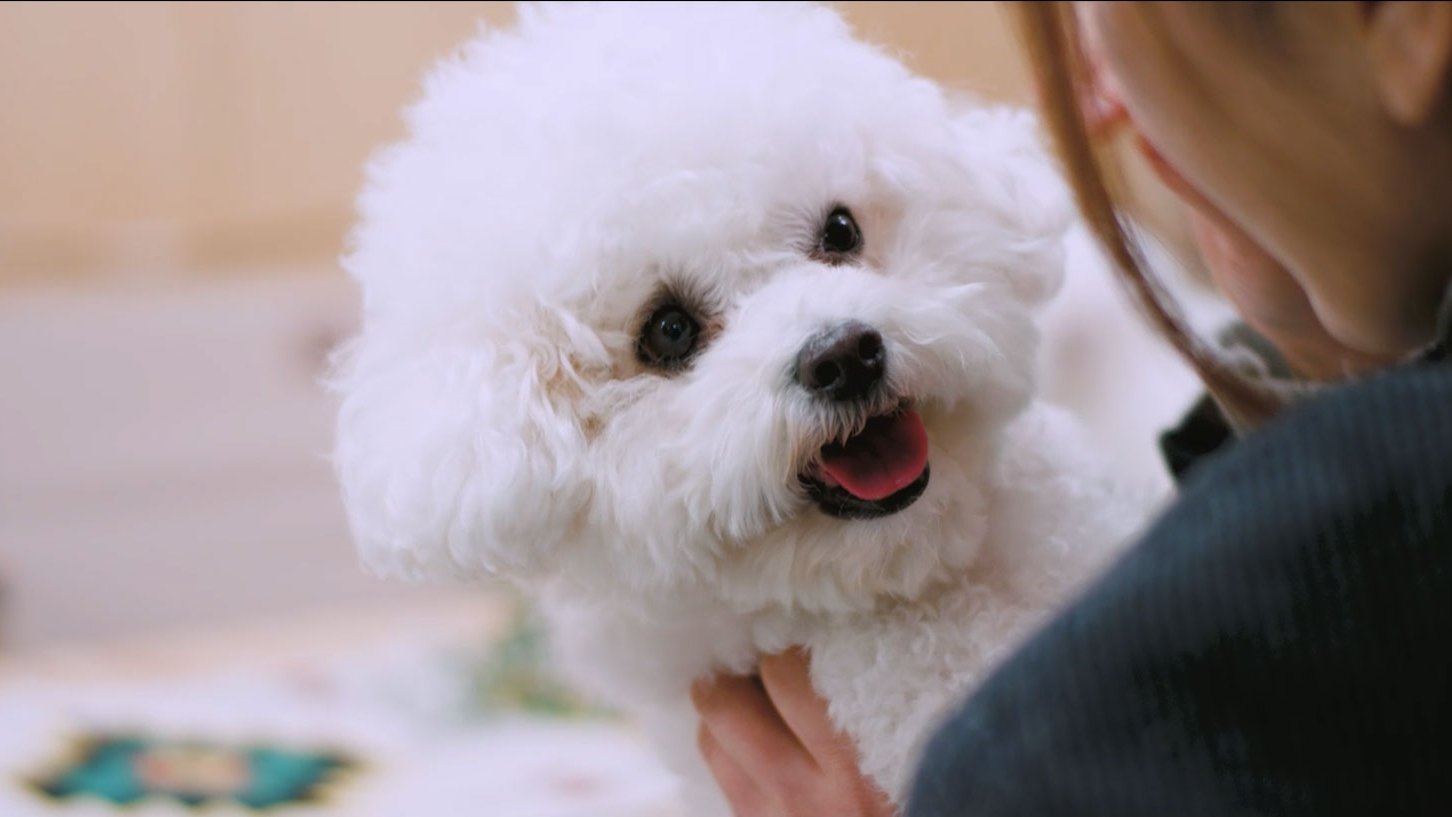 Backdrop for Happy Happy