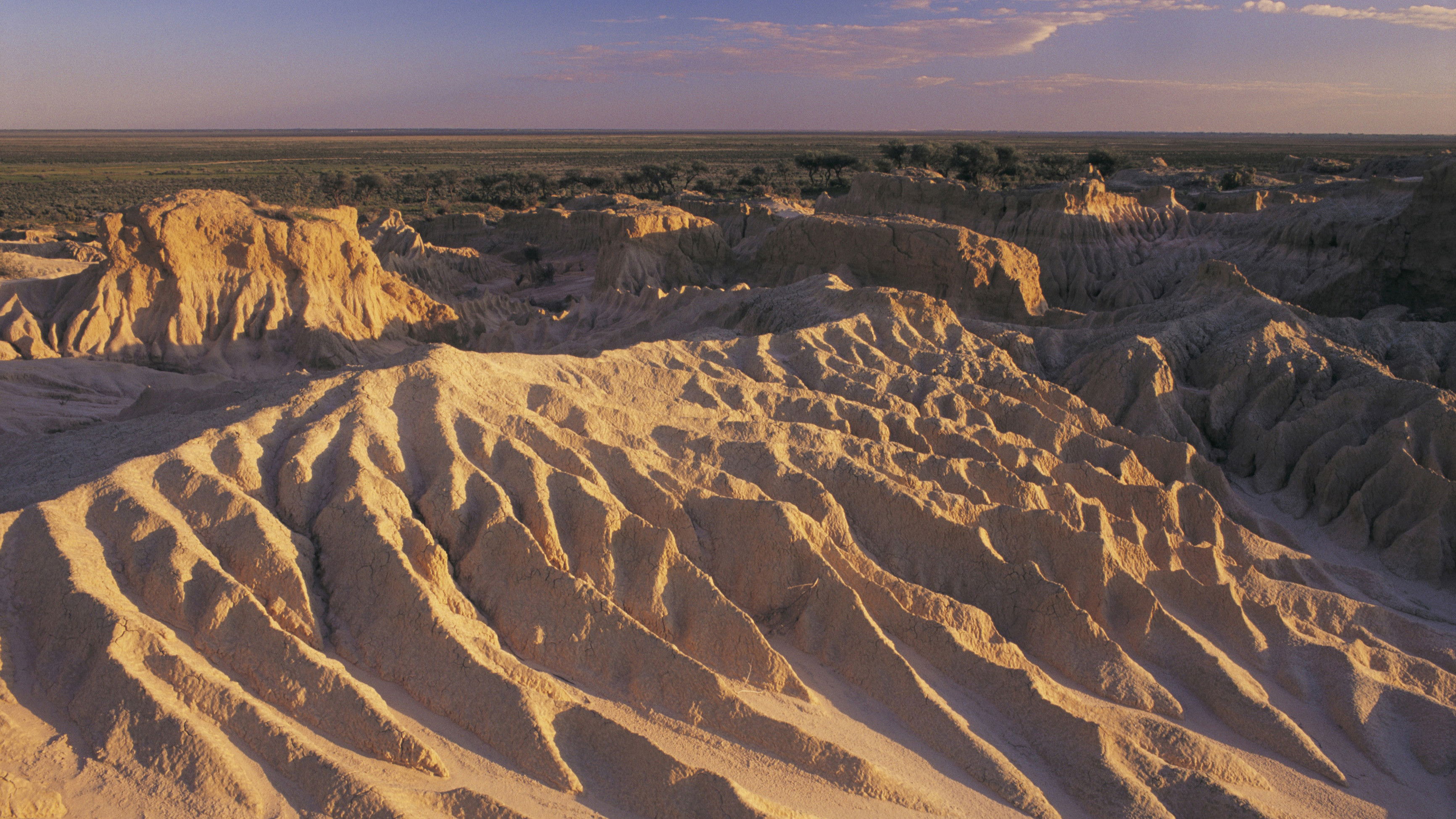 Backdrop for Message from Mungo