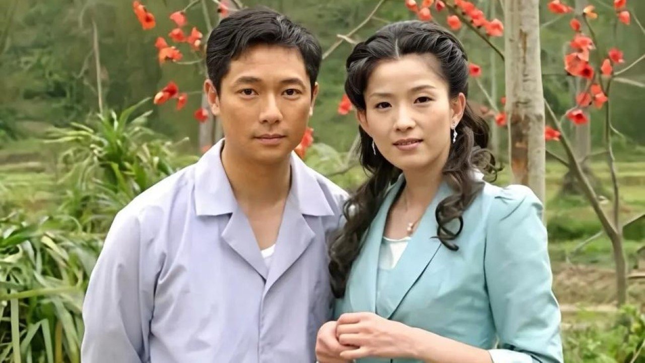 Backdrop for 木棉花的春天