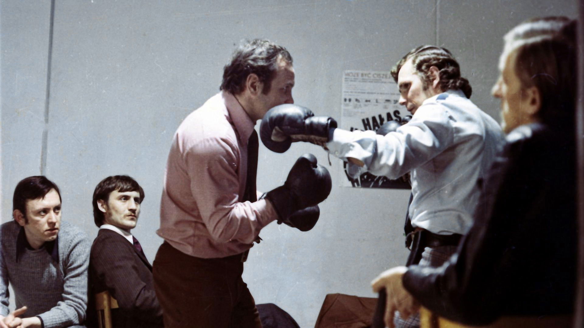 Backdrop for Excuse Me, Is It Here They Beat Up People?