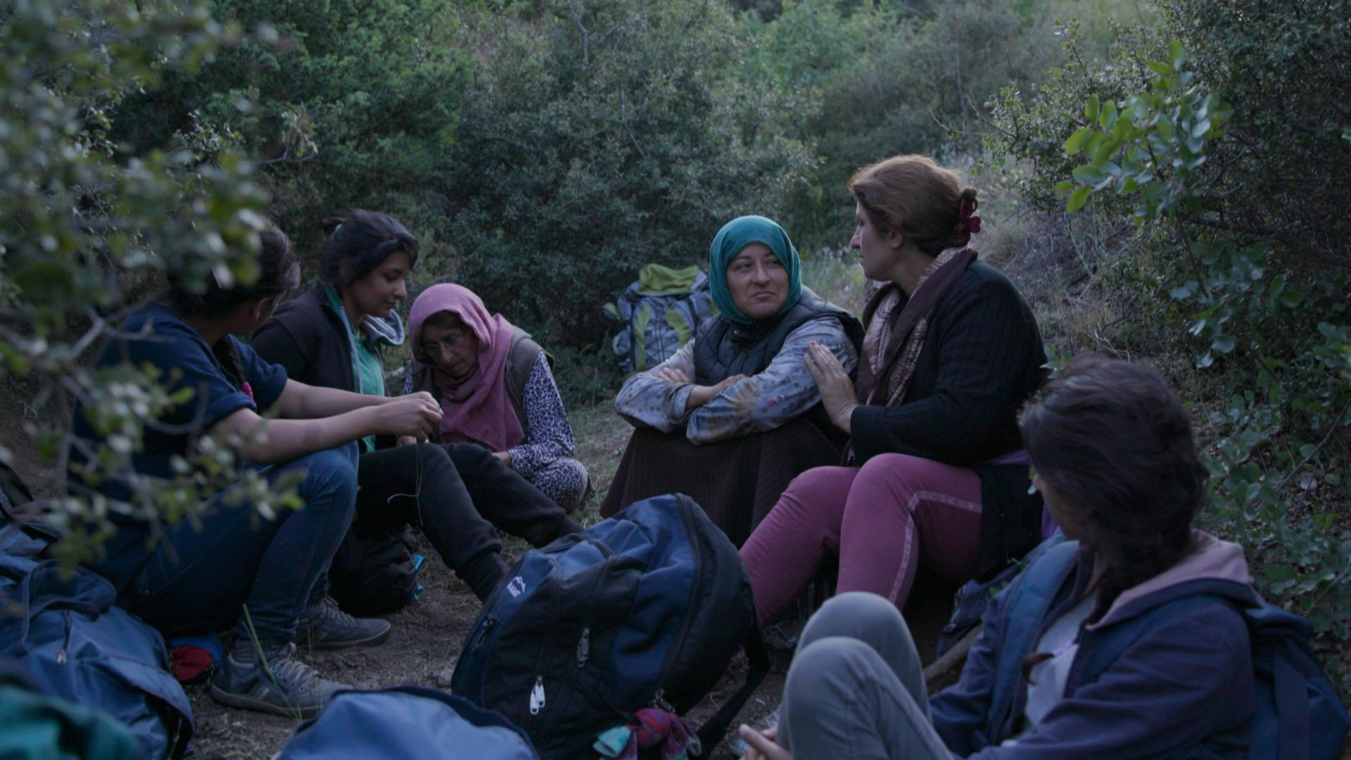 Backdrop for Sky and Ground