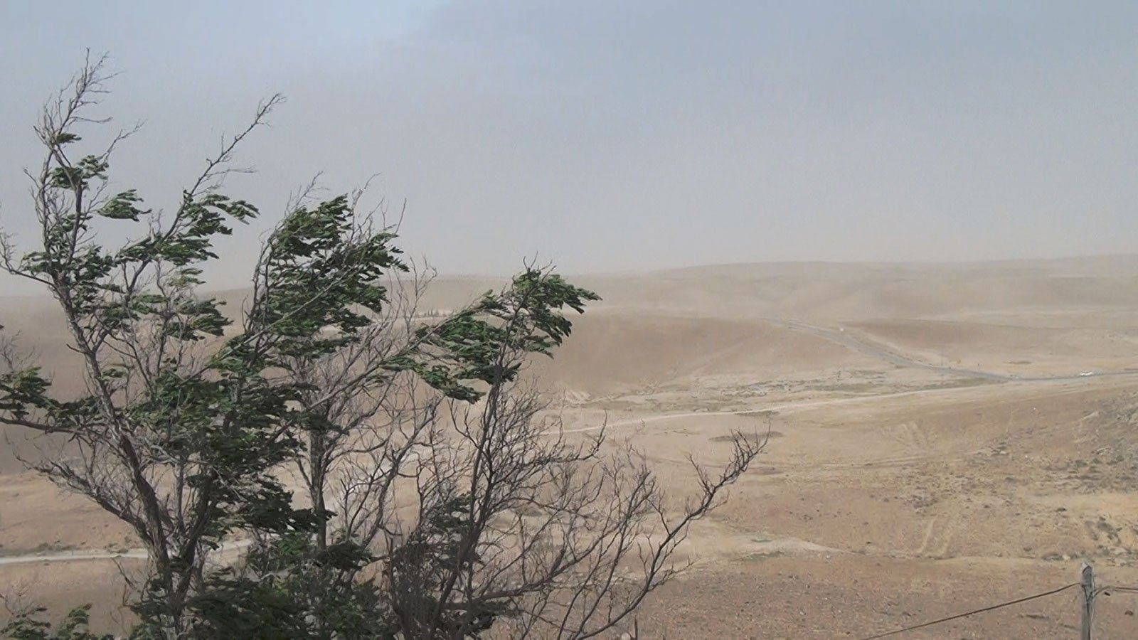 Backdrop for No Home Movie