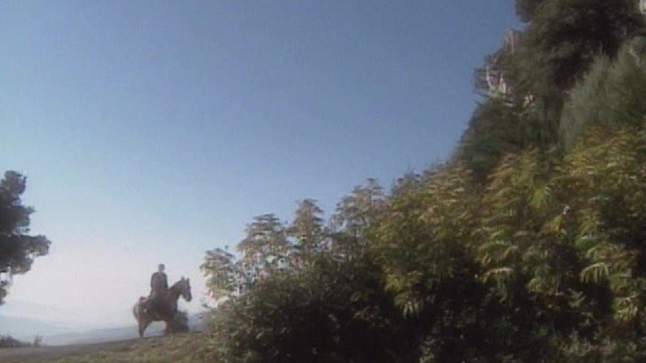 Backdrop for St. Gerard Majella: A Saint for Our Times