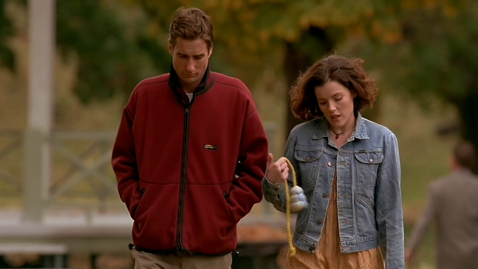 Backdrop for Dog Park