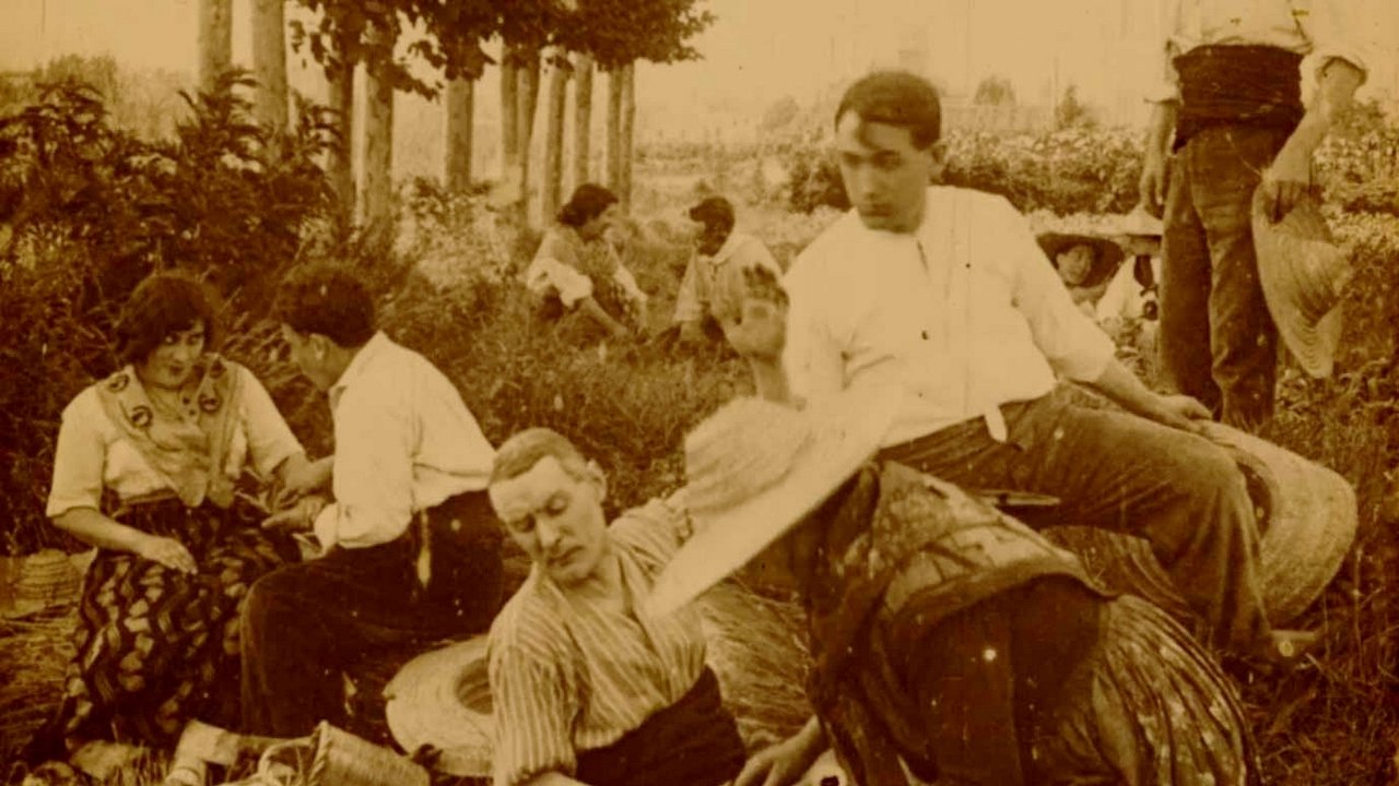 Backdrop for Lucha de corazones