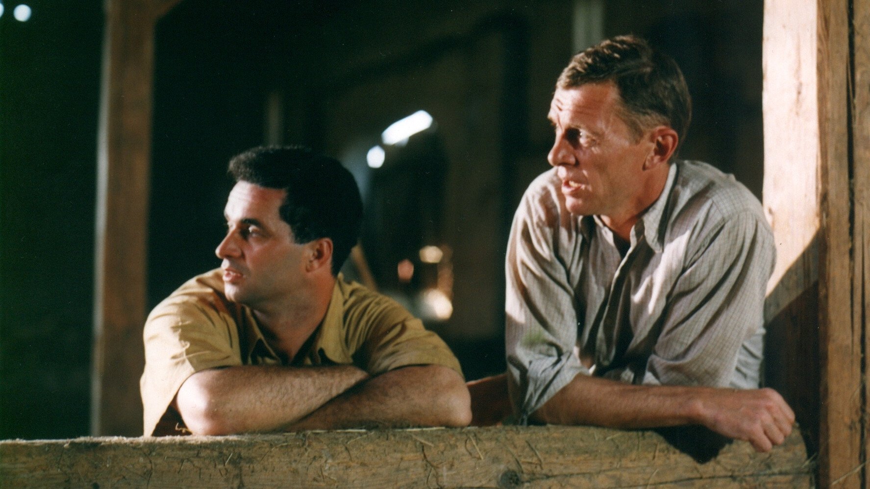 Backdrop for Zdivočelá země