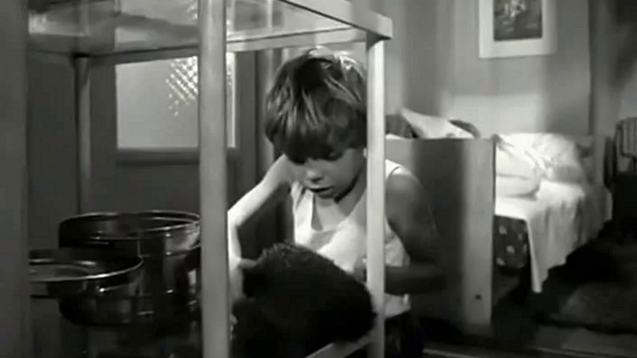 Backdrop for Fellows