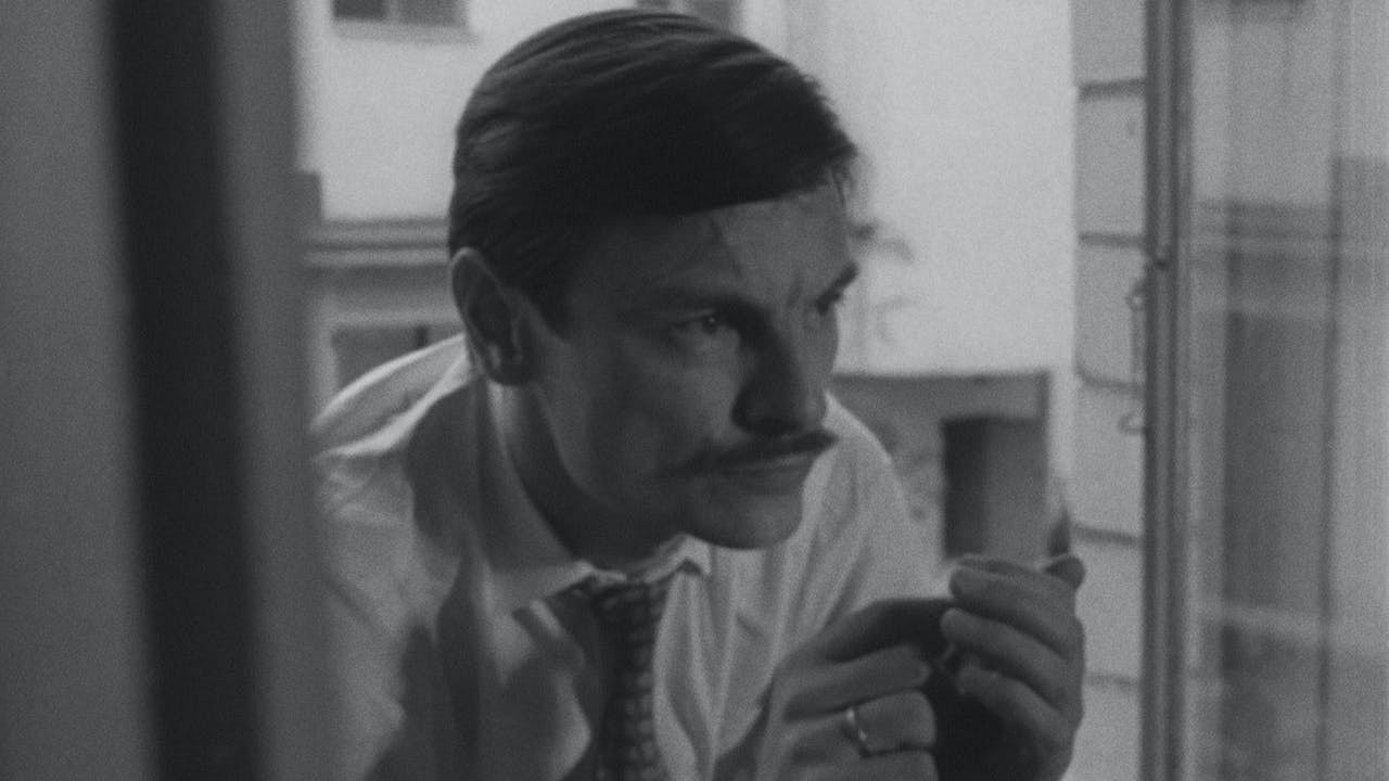 Backdrop for The Three Andreis