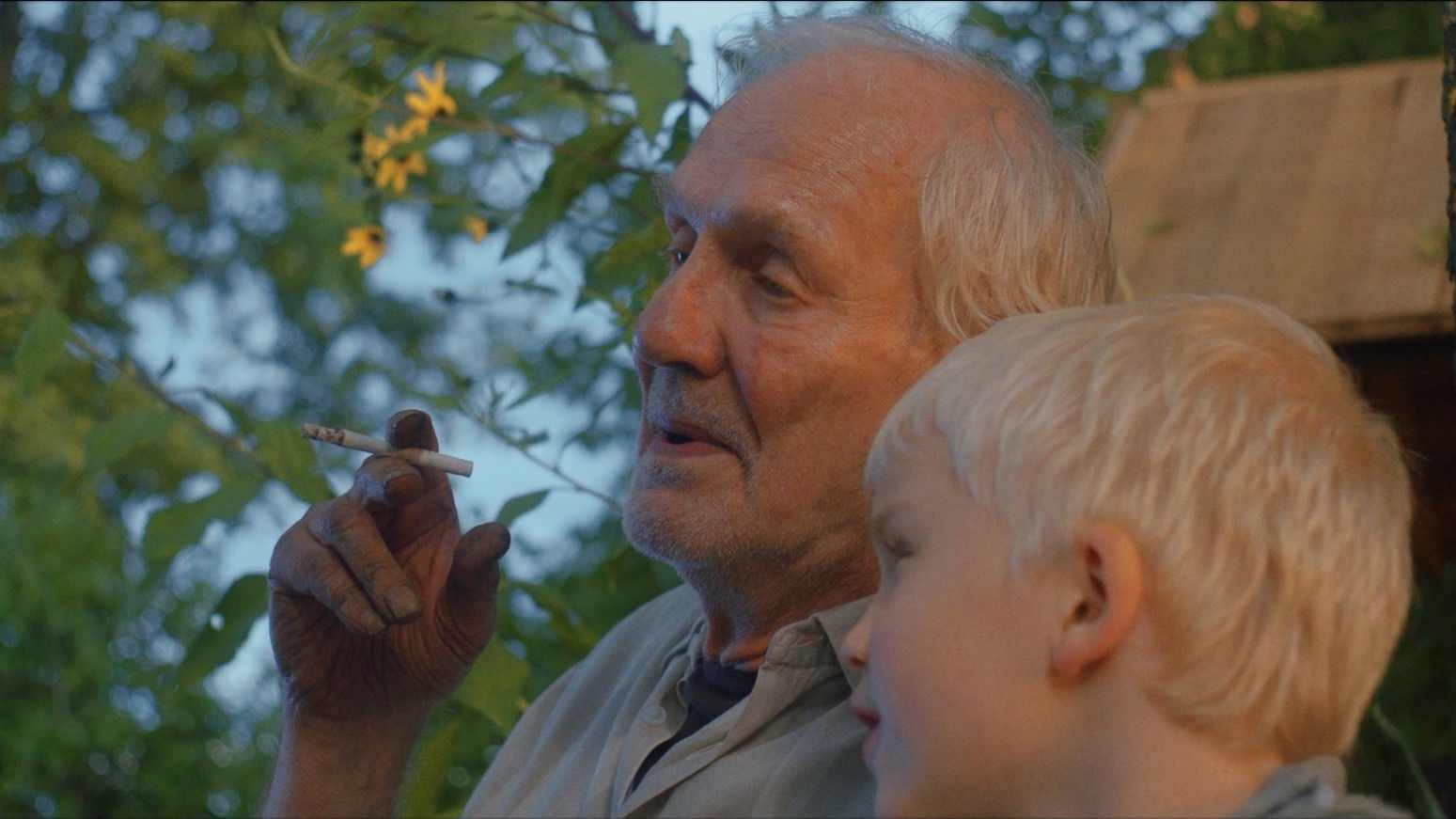 Backdrop for They Say Tomatoes Love Rock Music