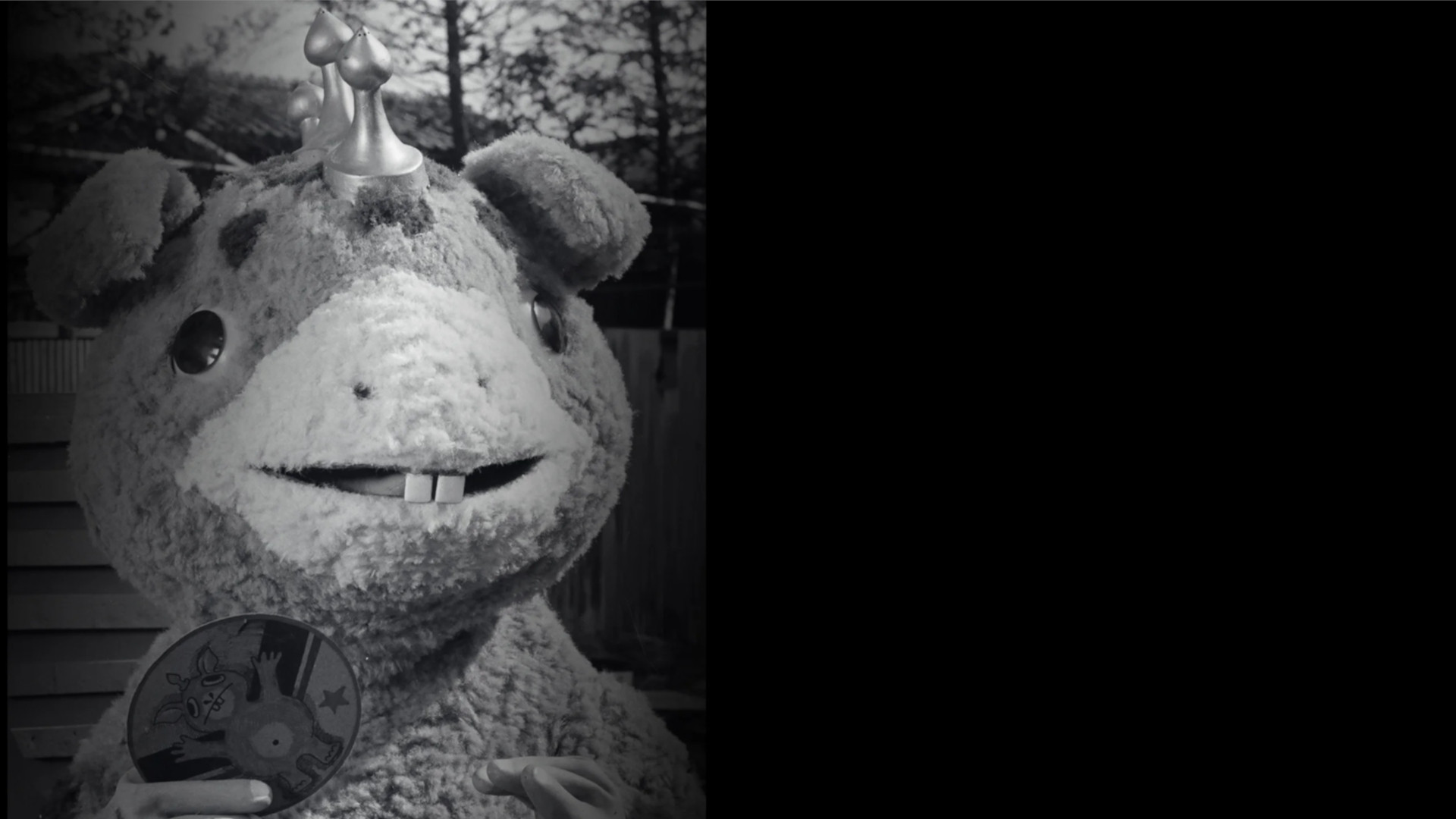 Backdrop for Kaiju Booska