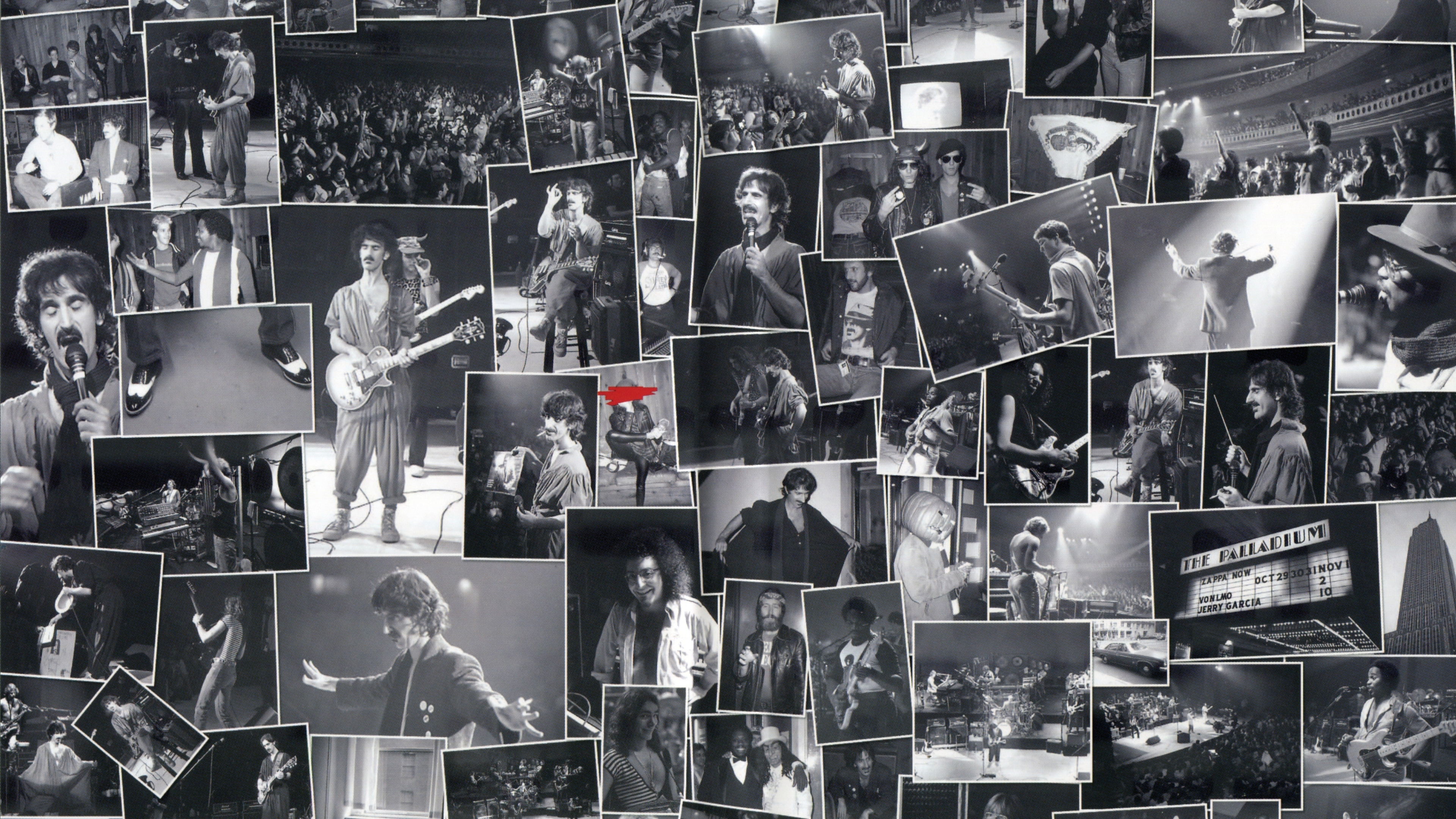 Backdrop for Frank Zappa: The Torture Never Stops