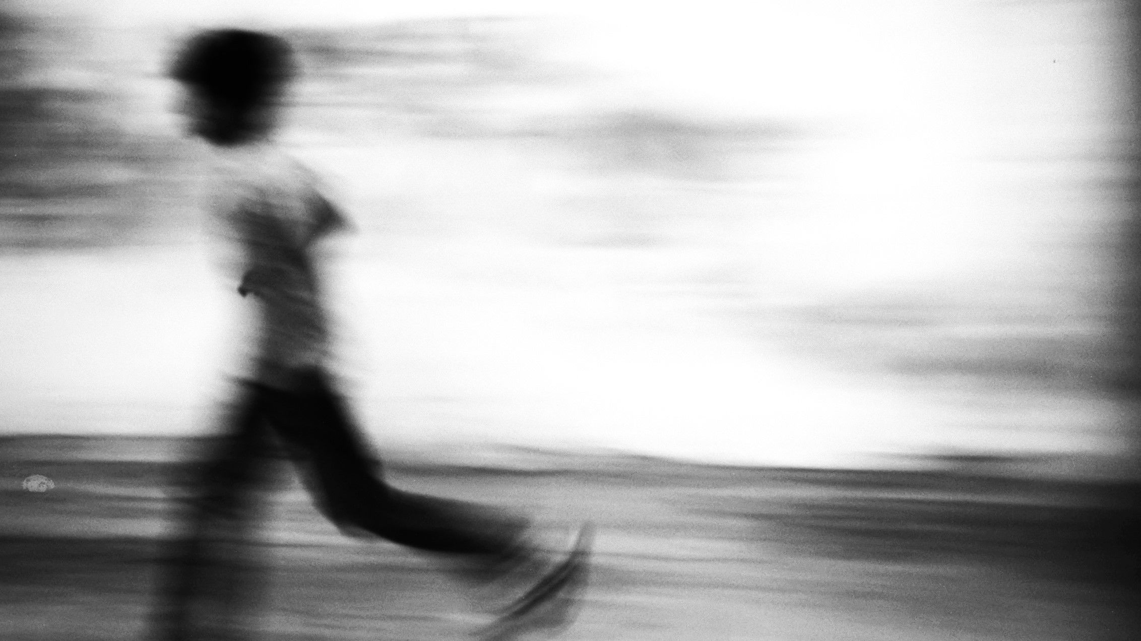 Backdrop for Seagull dog child