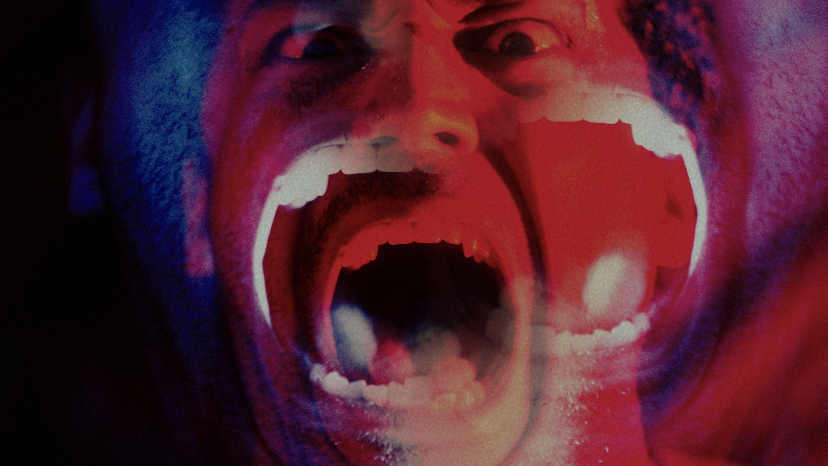 Backdrop for Bury Me When I'm Dead