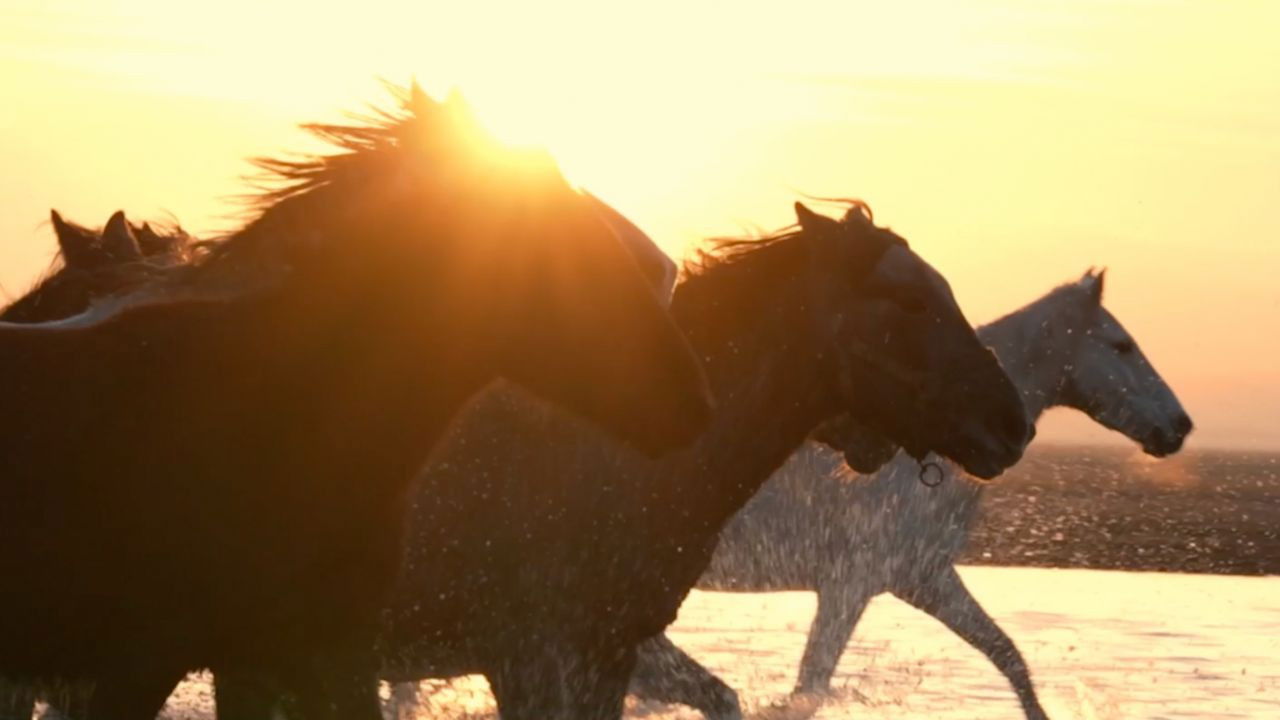 Backdrop for A Place to Go