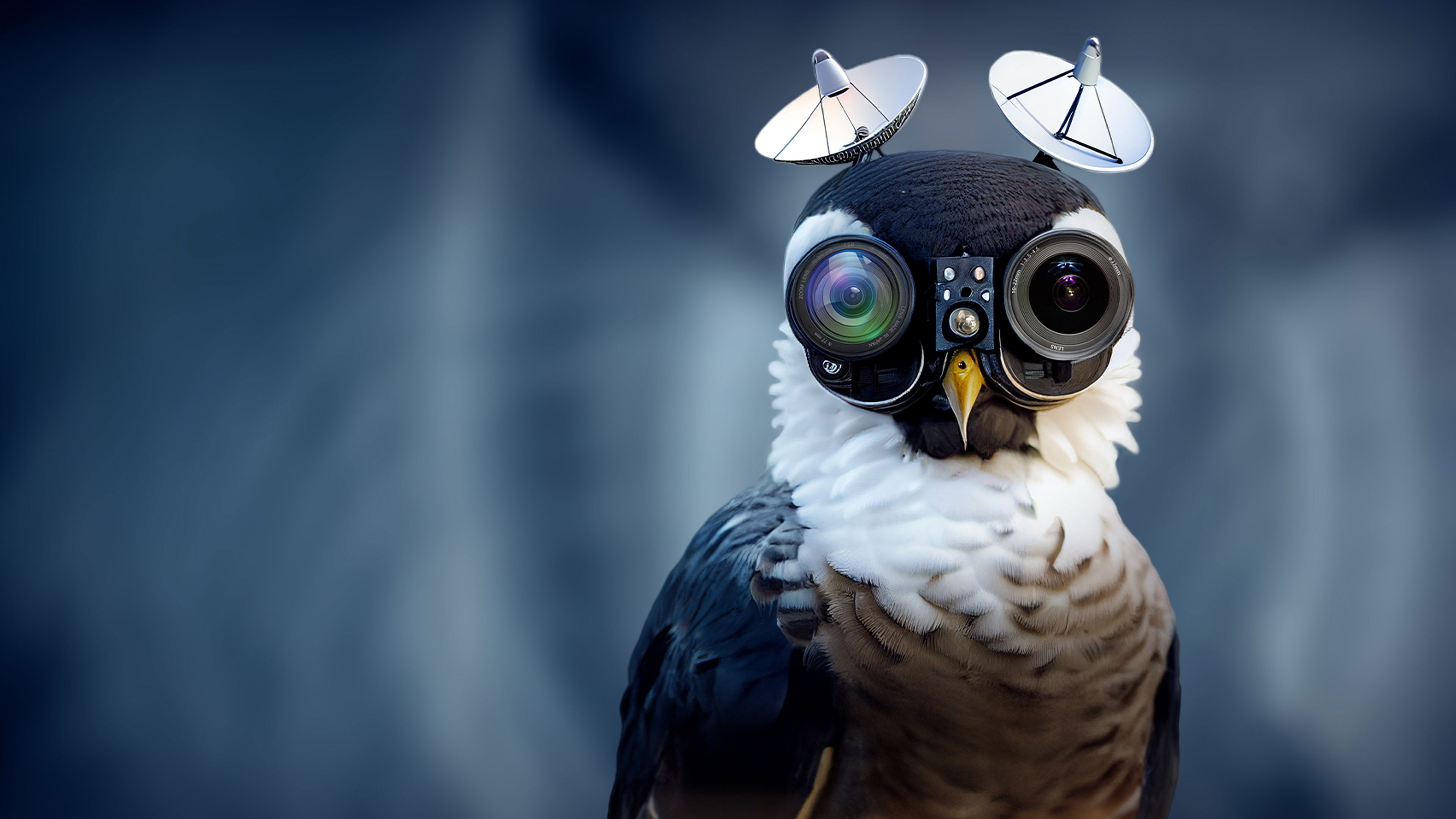 Backdrop for Birds Are Fake: The Conspiracy