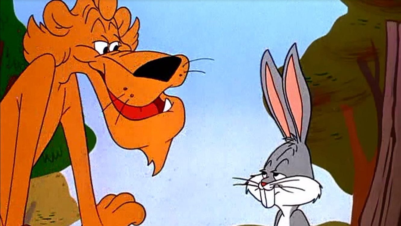 Backdrop for Rabbit's Kin