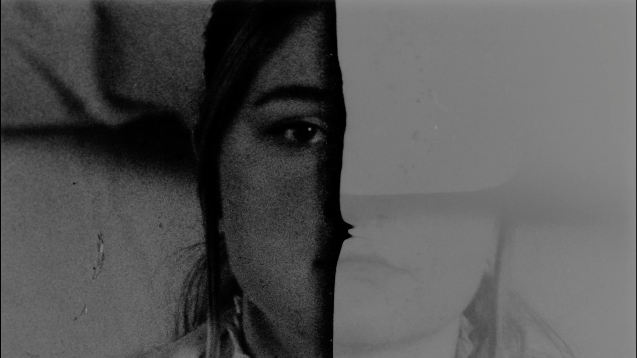 Backdrop for In Bloom