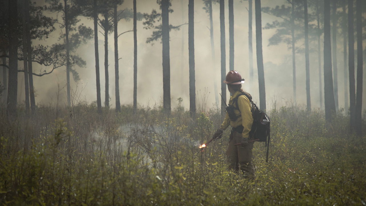 Backdrop for Anchor Point