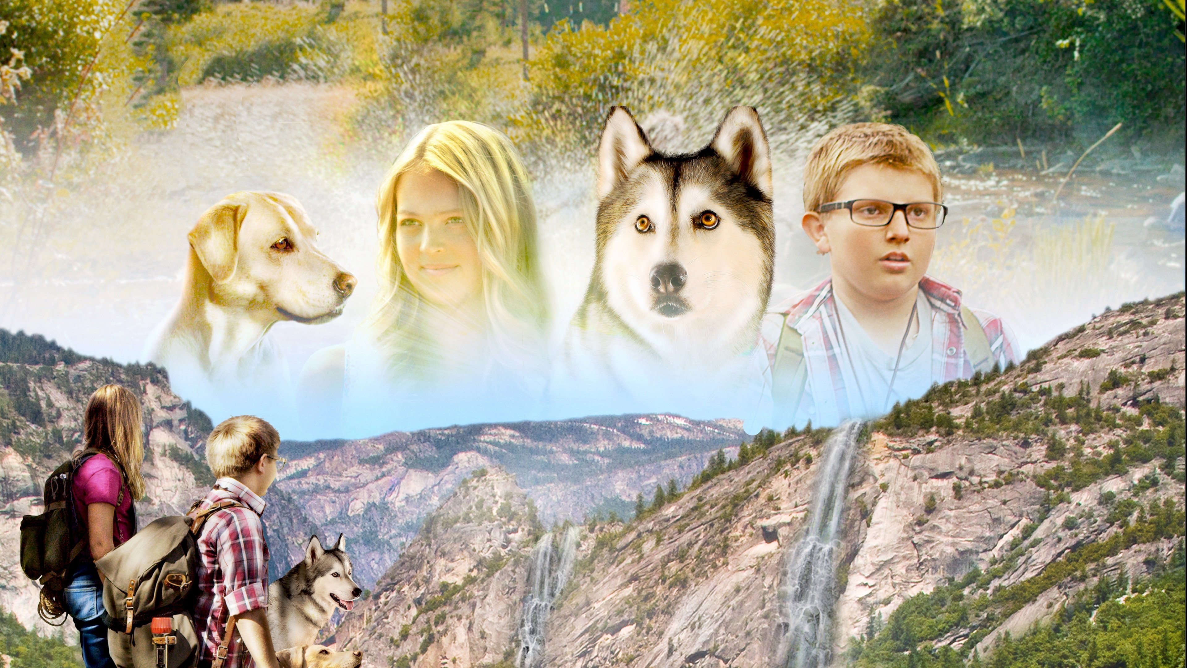 Backdrop for Timber the Treasure Dog