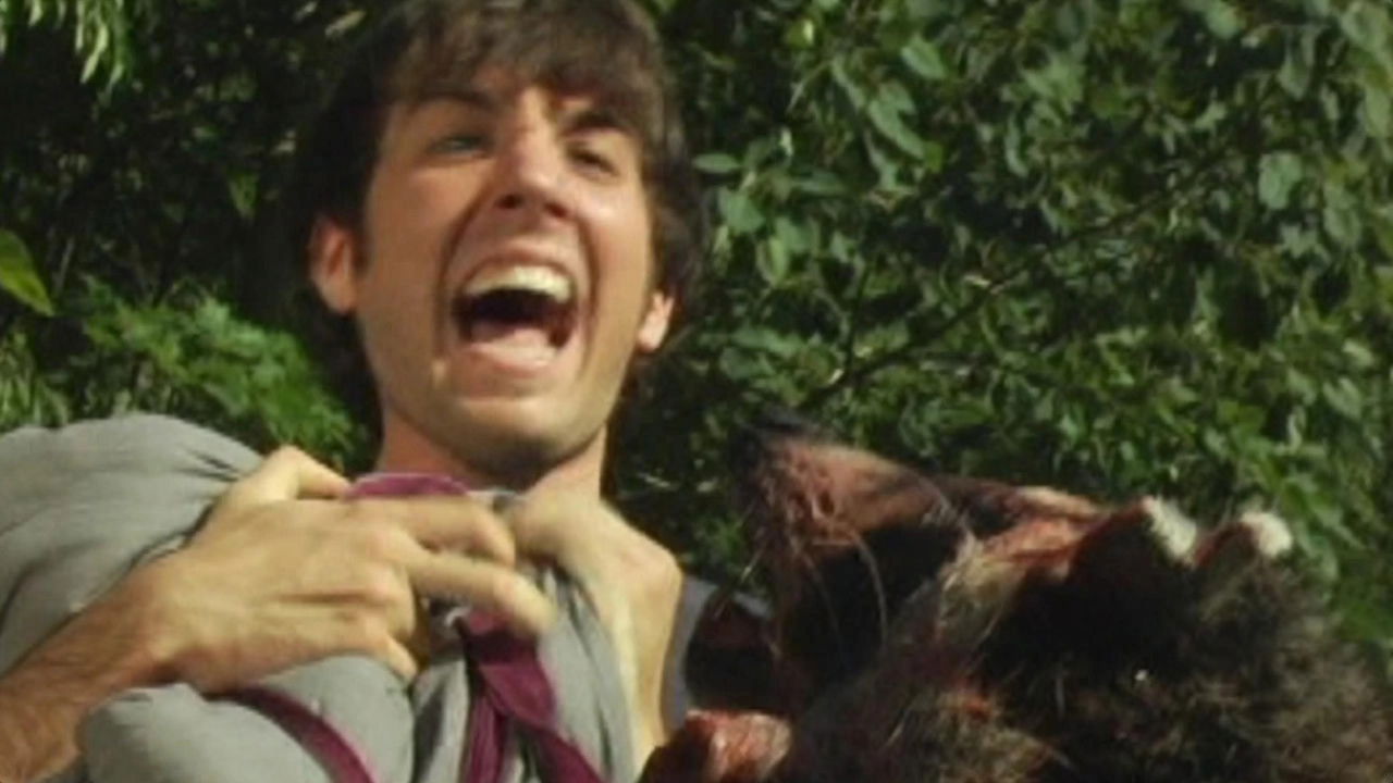 Backdrop for Coons! Night of the Bandits of the Night