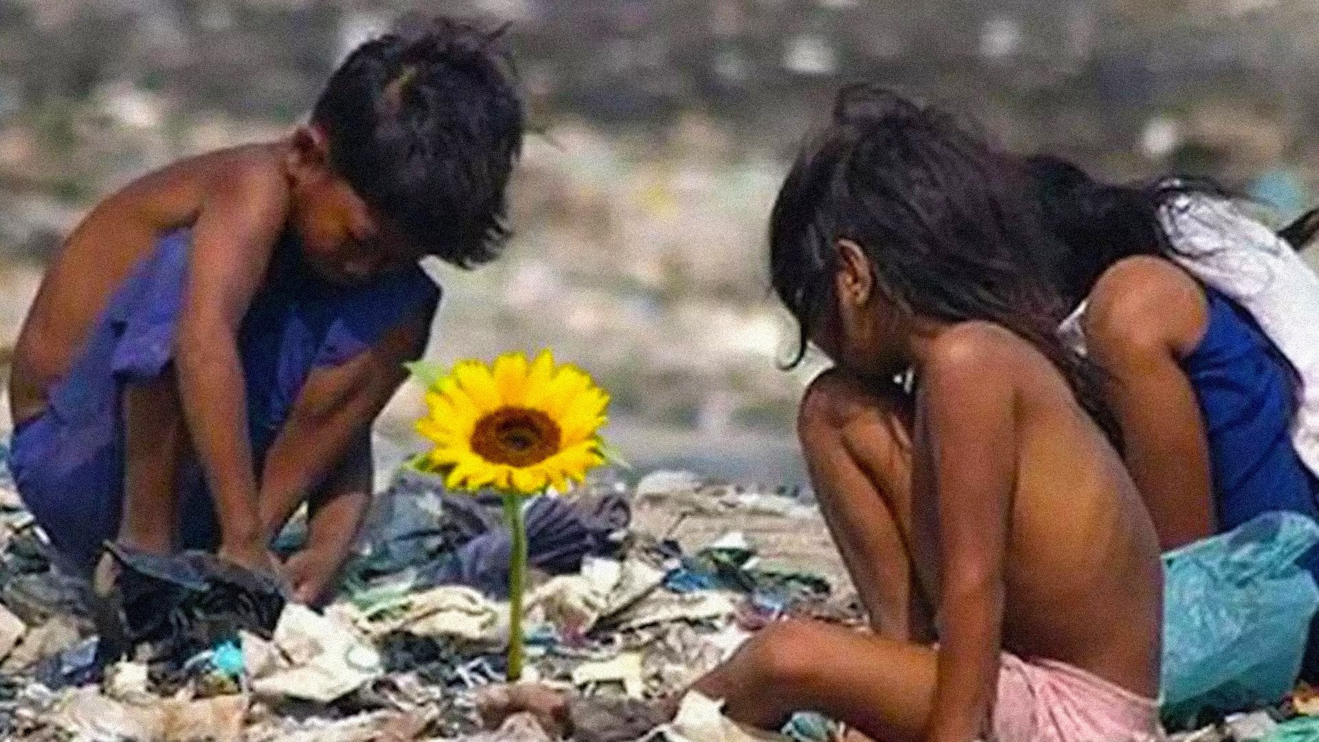 Backdrop for Isle of Flowers