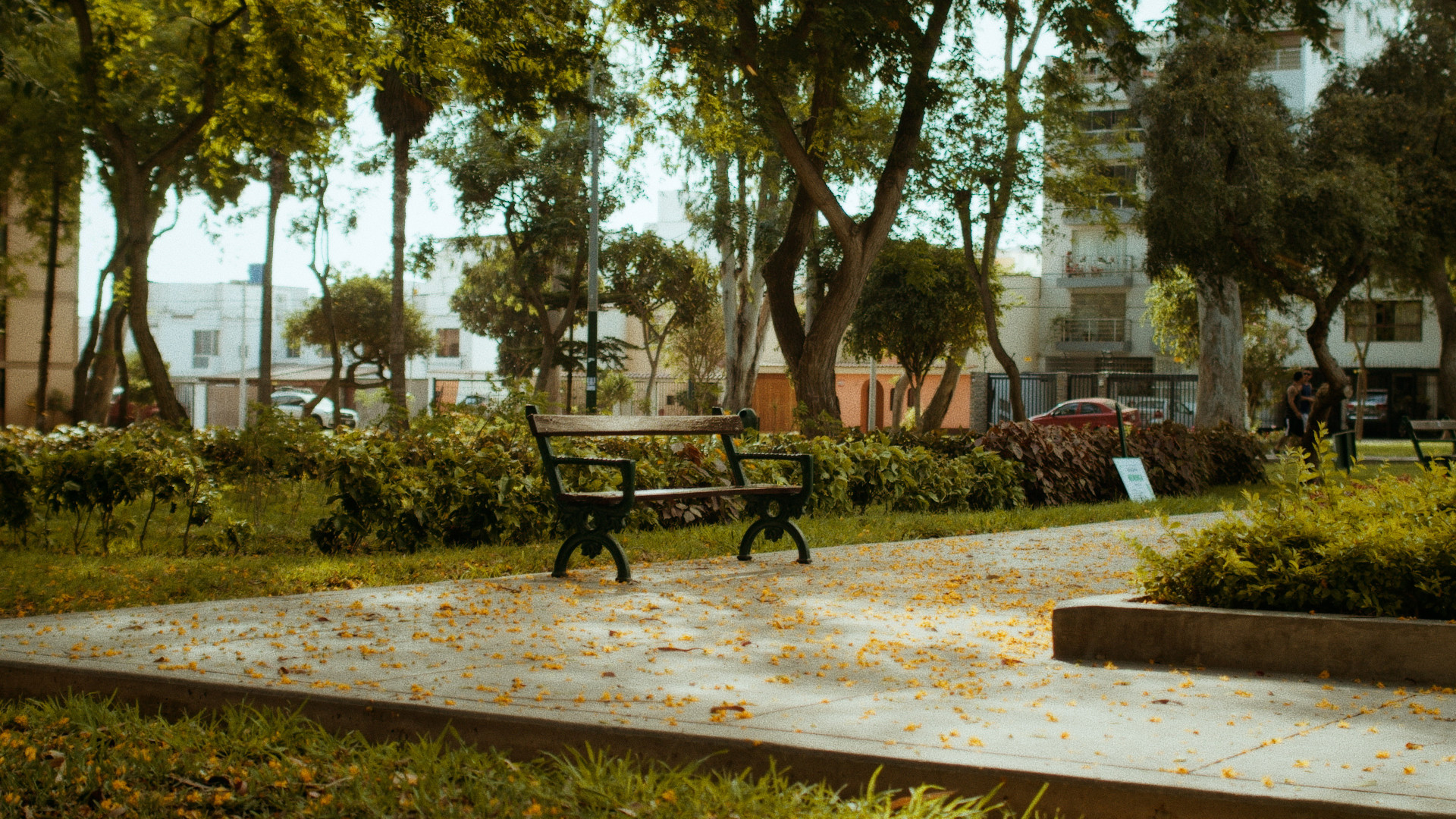 Backdrop for El Instante