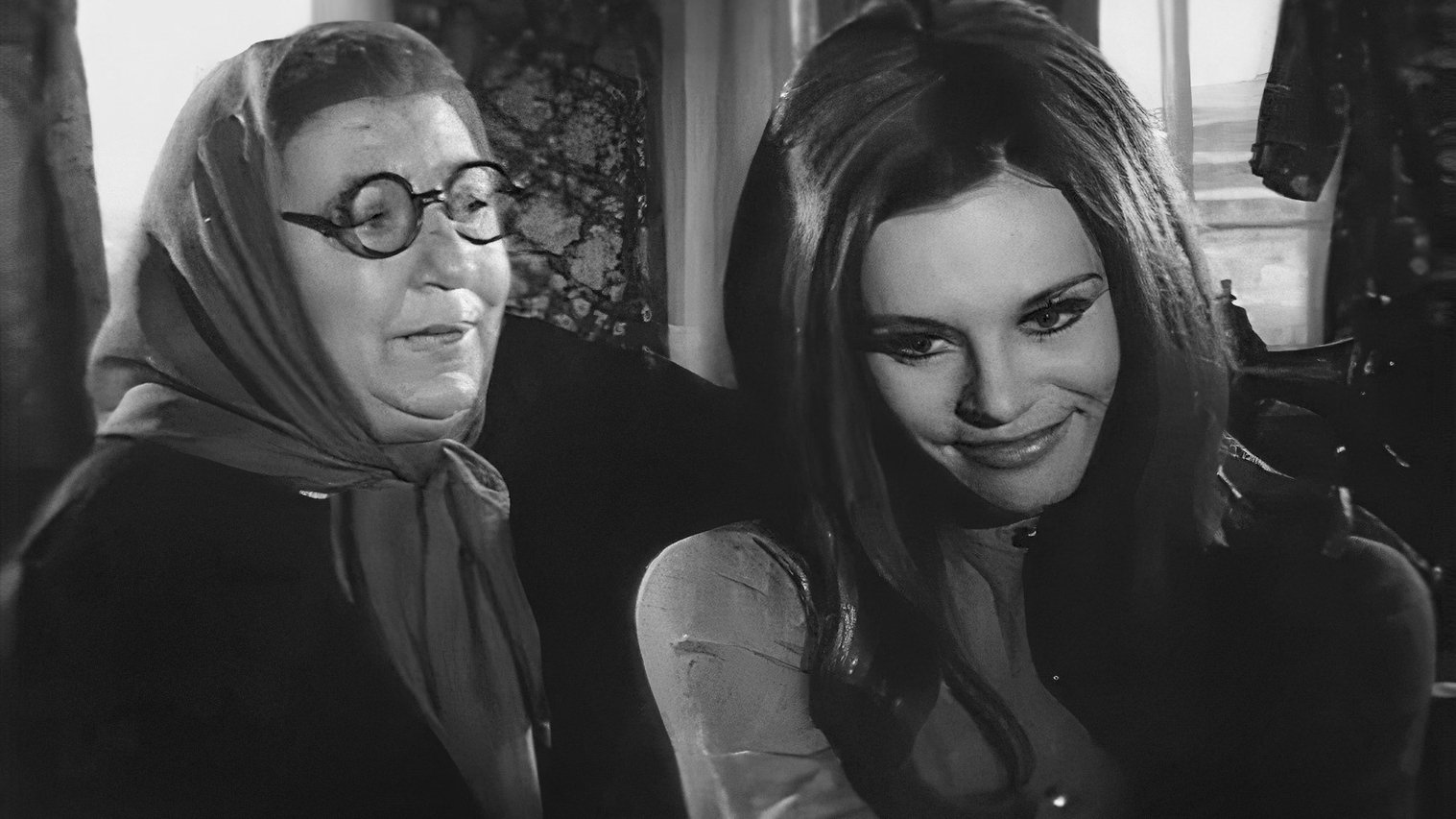 Backdrop for Cemile: Yaralı Ceylan