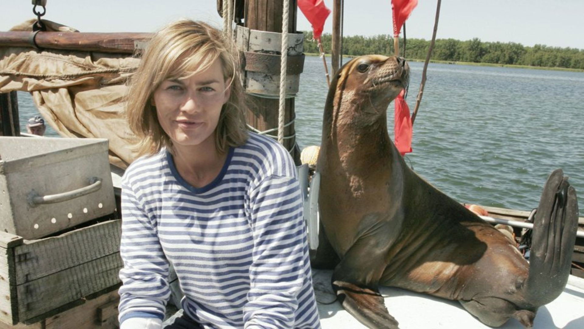 Backdrop for Eine Robbe zum Verlieben