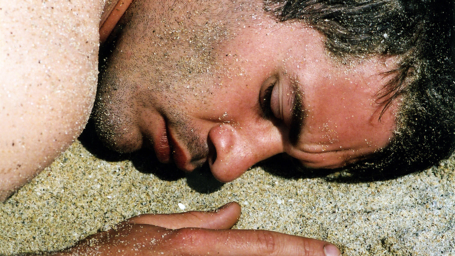 Backdrop for Natural Enemy