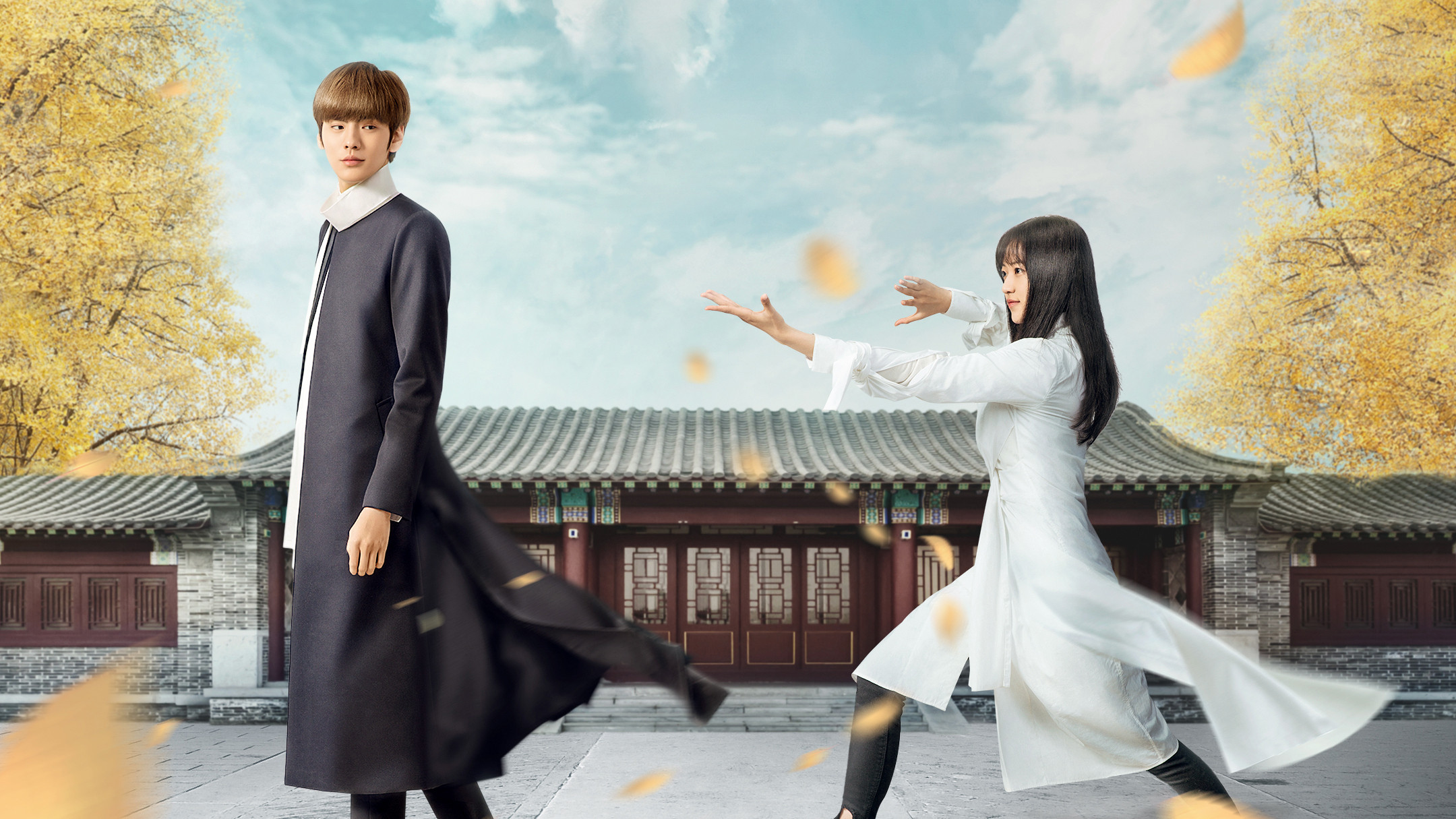 Backdrop for Sweet Tai Chi