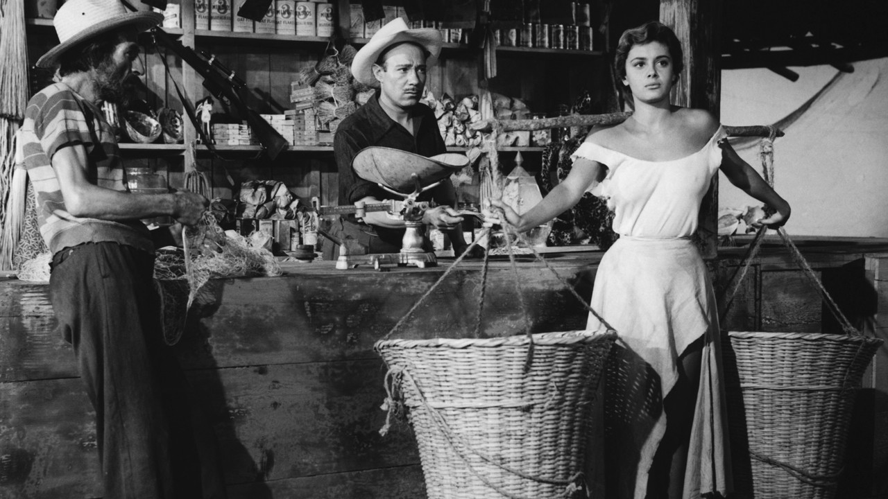 Backdrop for The Net