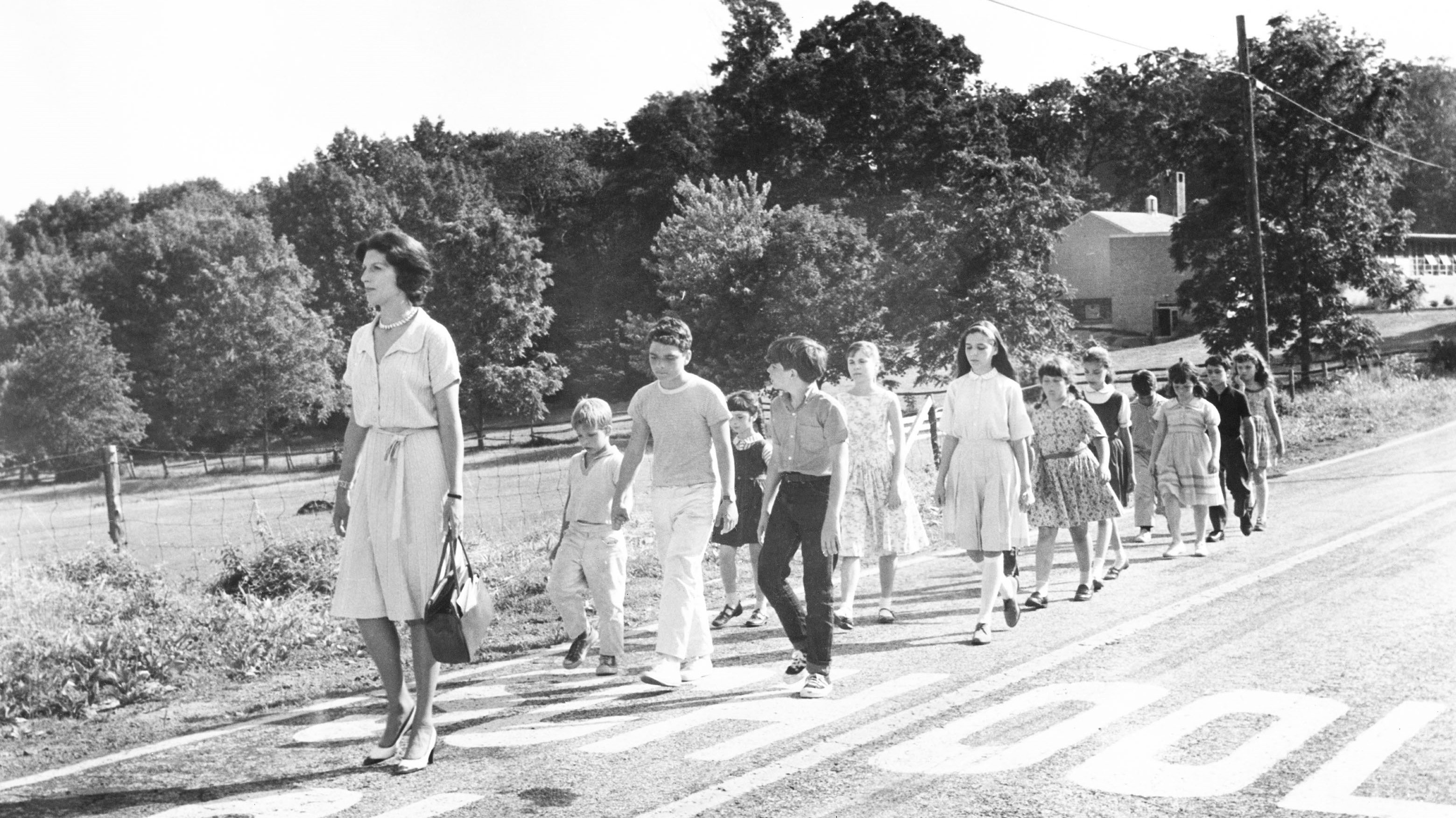 Backdrop for Ladybug Ladybug