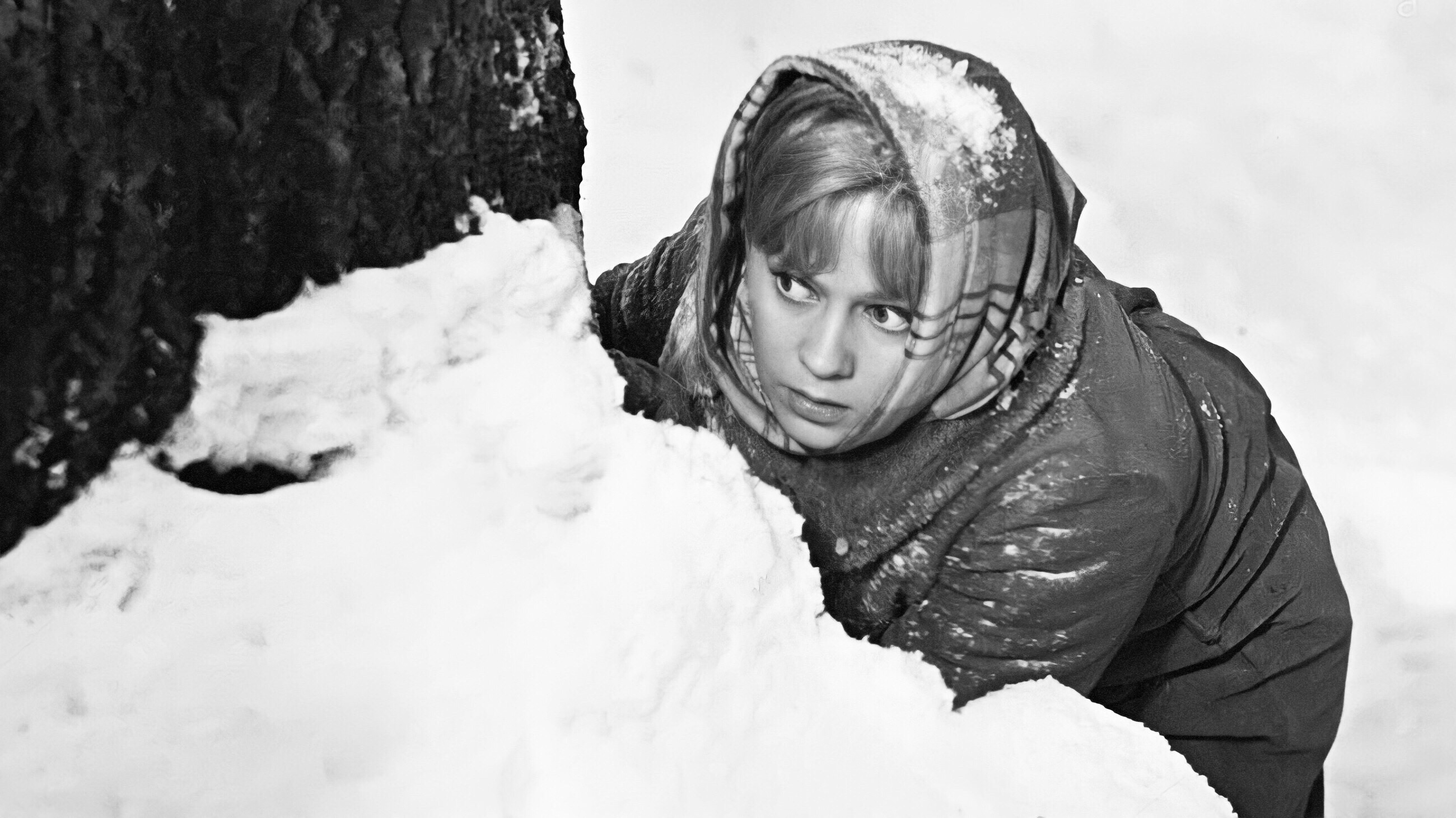 Backdrop for The Russian Forest