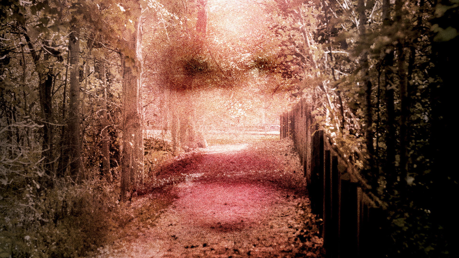 Backdrop for Gone: The Forgotten Women of Ohio