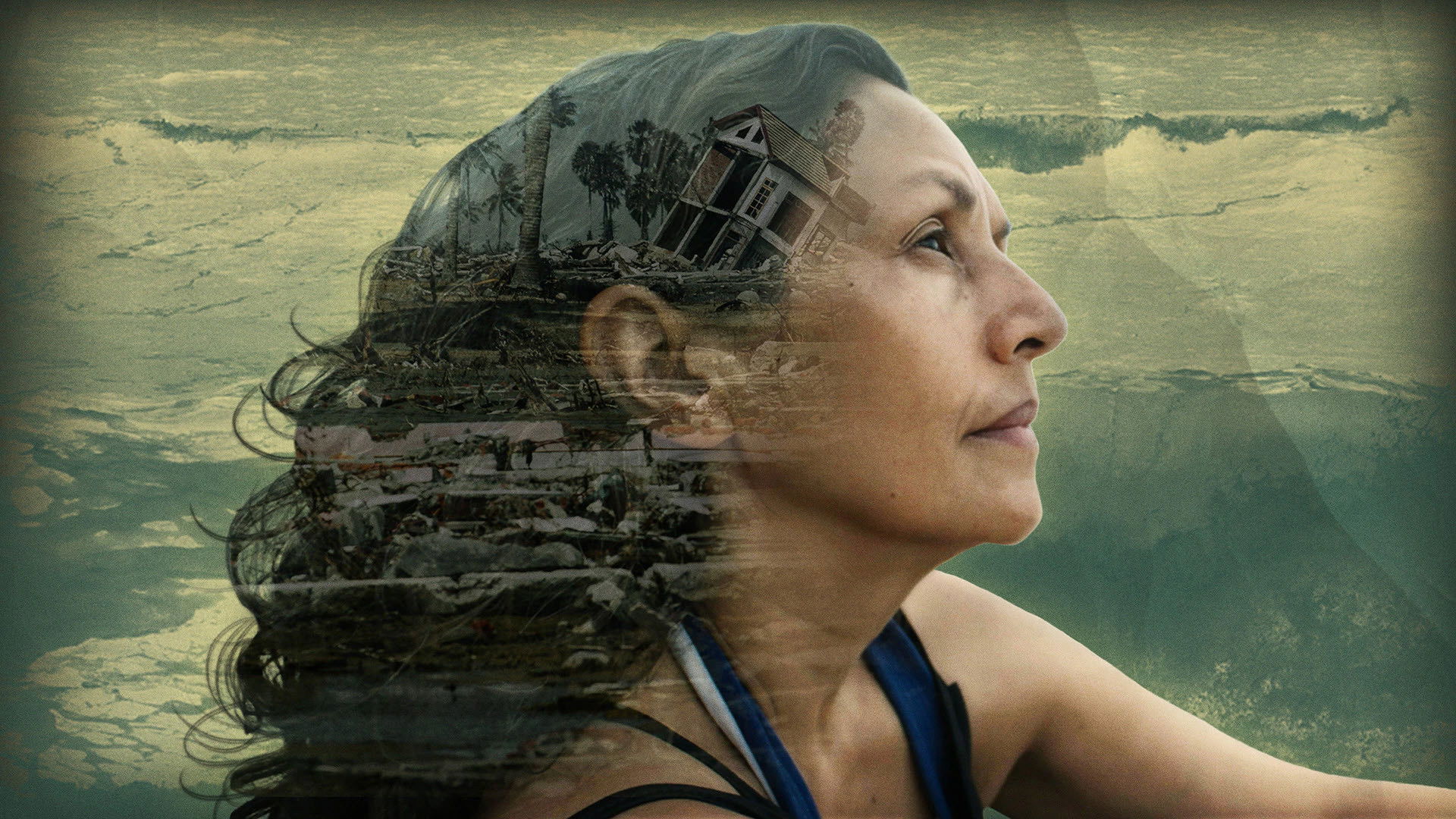 Backdrop for Tsunami 2004: The Day the Wave Hit