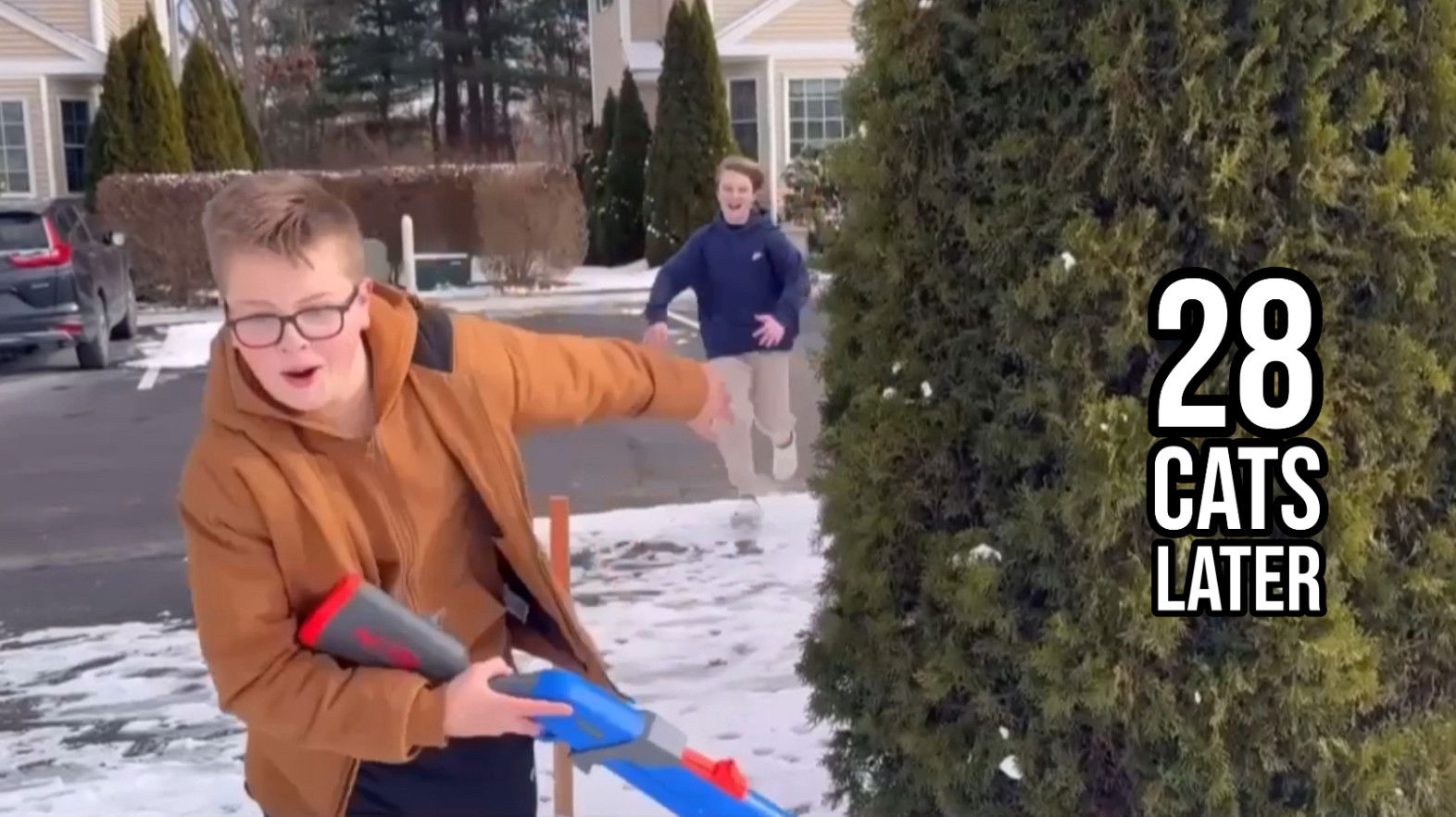 Backdrop for 28 Cats Later