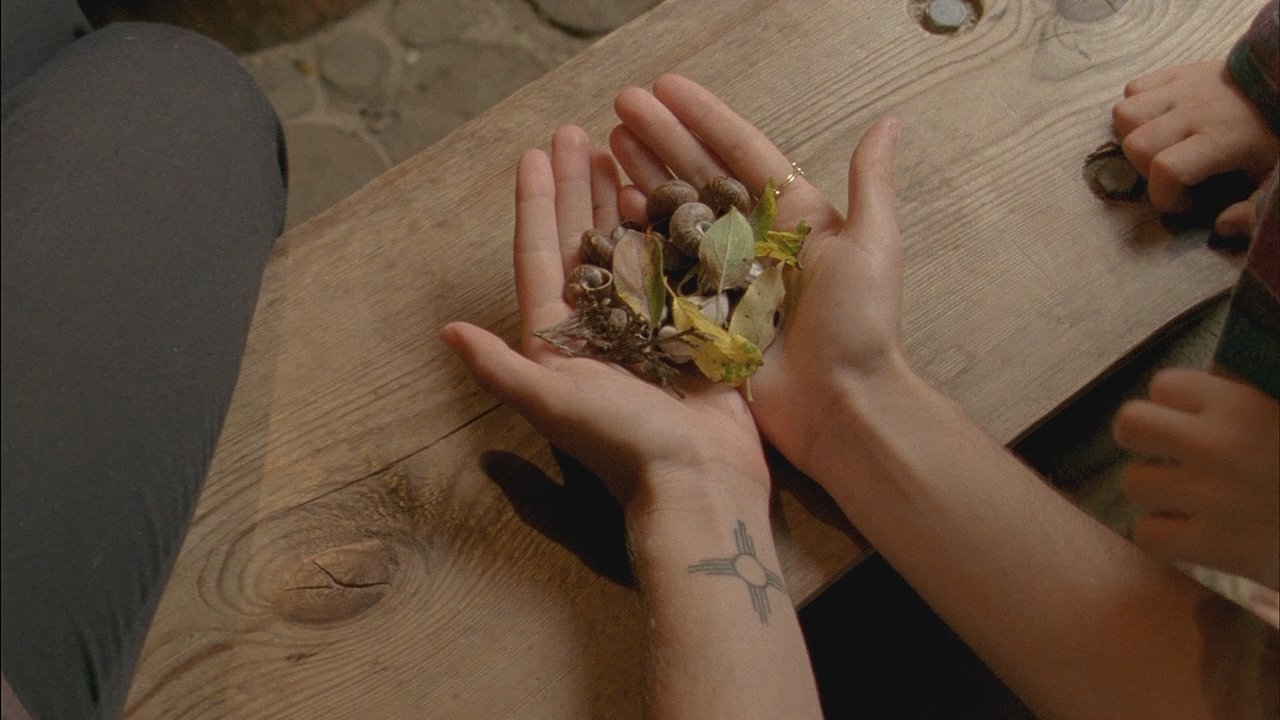 Backdrop for A Spell to Ward Off the Darkness