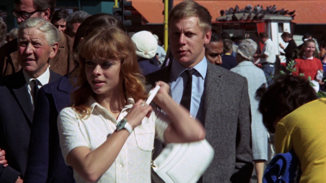 Backdrop for Dagmar's Hot Pants, Inc.