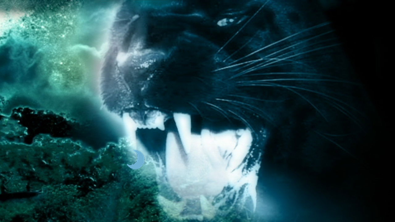 Backdrop for Night Creature