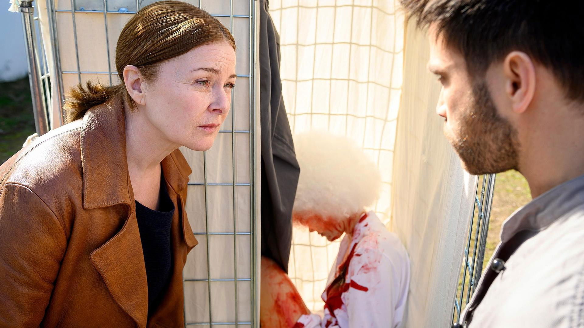 Backdrop for The Fox - Beautiful and Dead