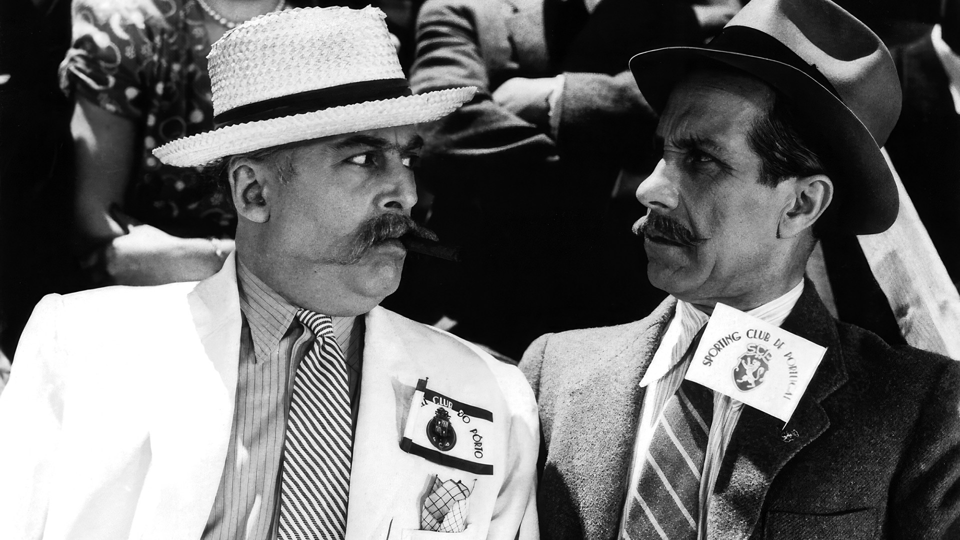 Backdrop for The Lion from Estrela