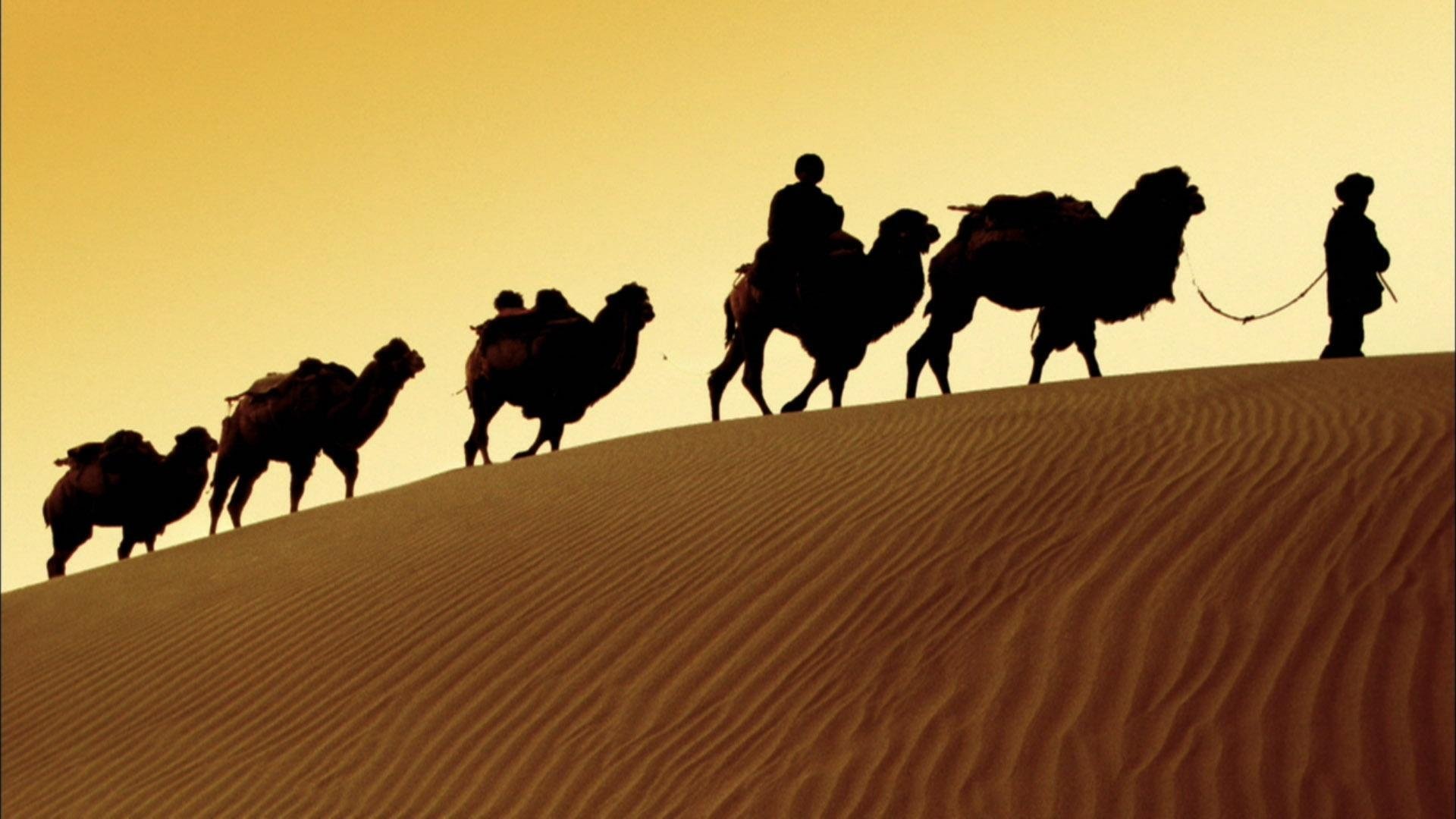 Backdrop for In the Footsteps of Marco Polo