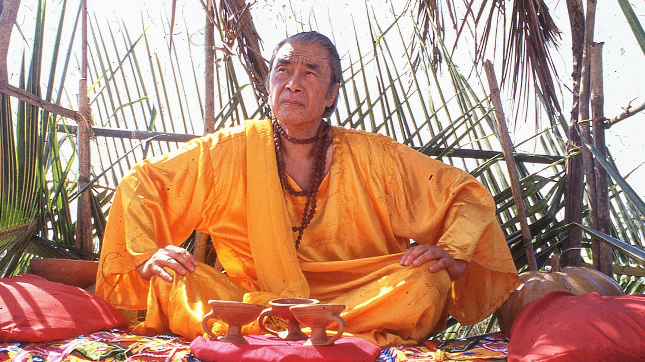 Backdrop for The Wonderland Experience