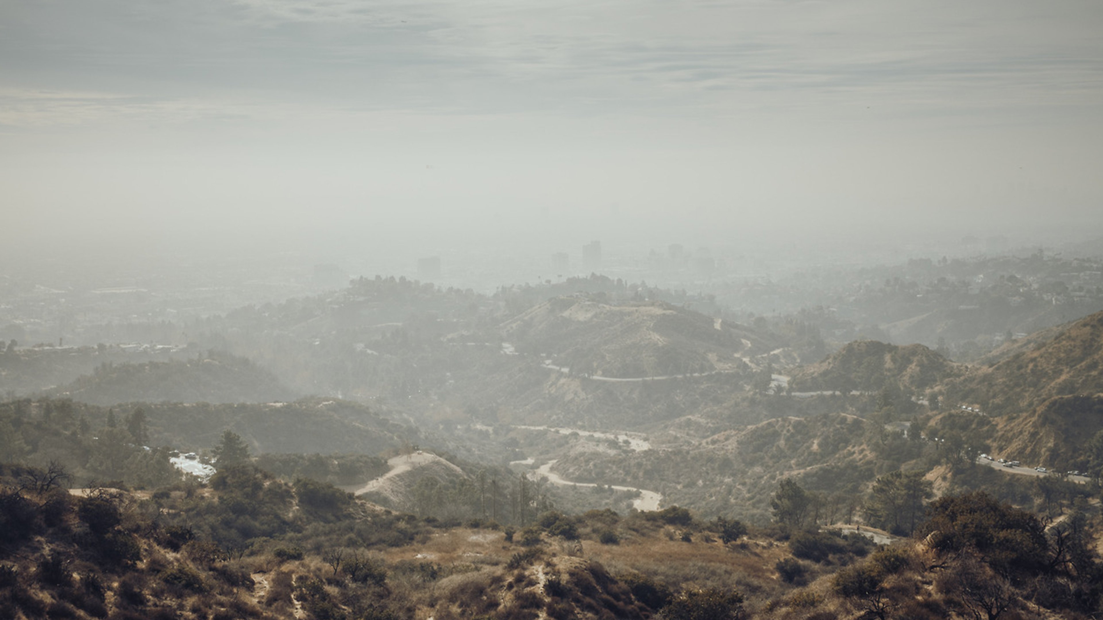 Backdrop for Park City