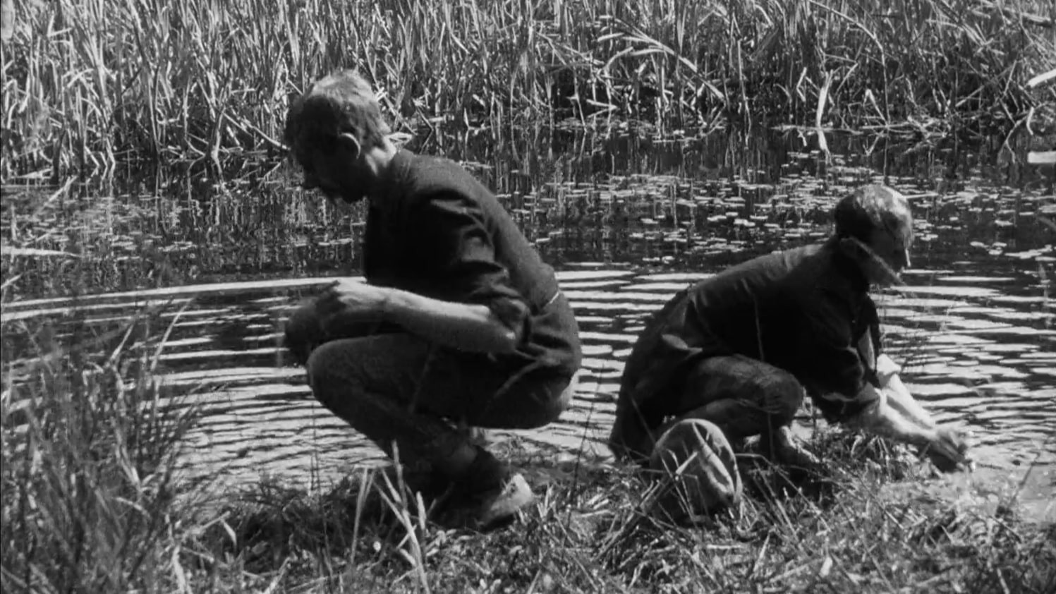 Backdrop for Love and Burglars